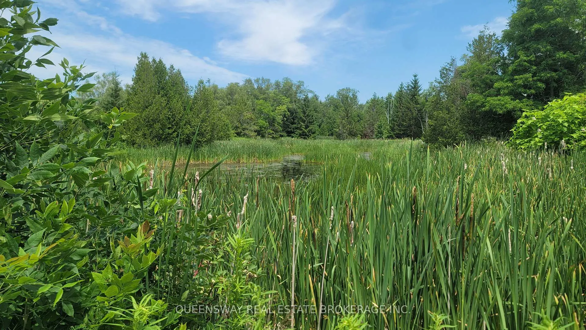 Photo 4 of Block73 Shawano Drive, Alnwick/Haldimand, Rural Alnwick/Haldimand — HOMEH