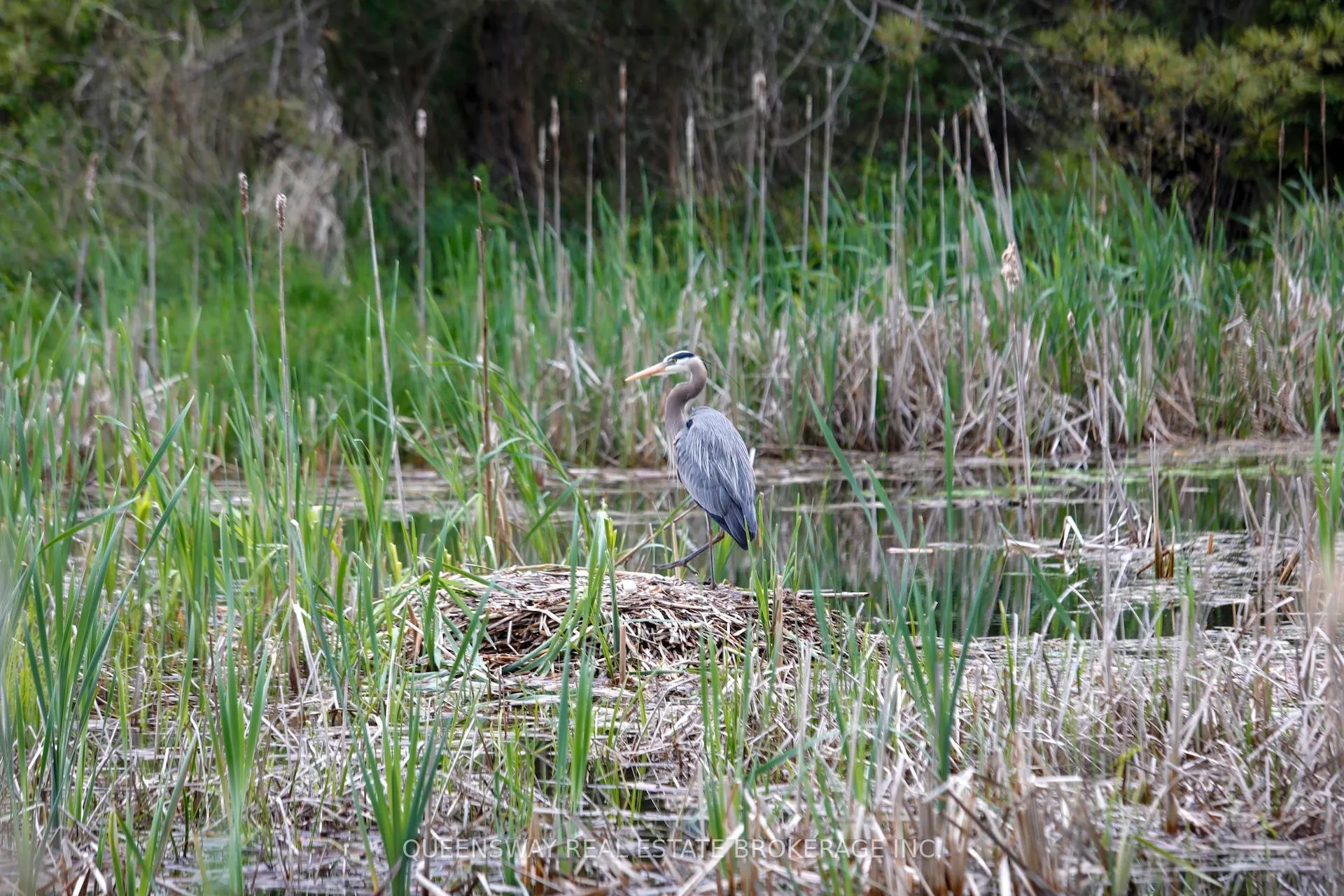Photo 8 of Block73 Shawano Drive, Alnwick/Haldimand, Rural Alnwick/Haldimand — HOMEH