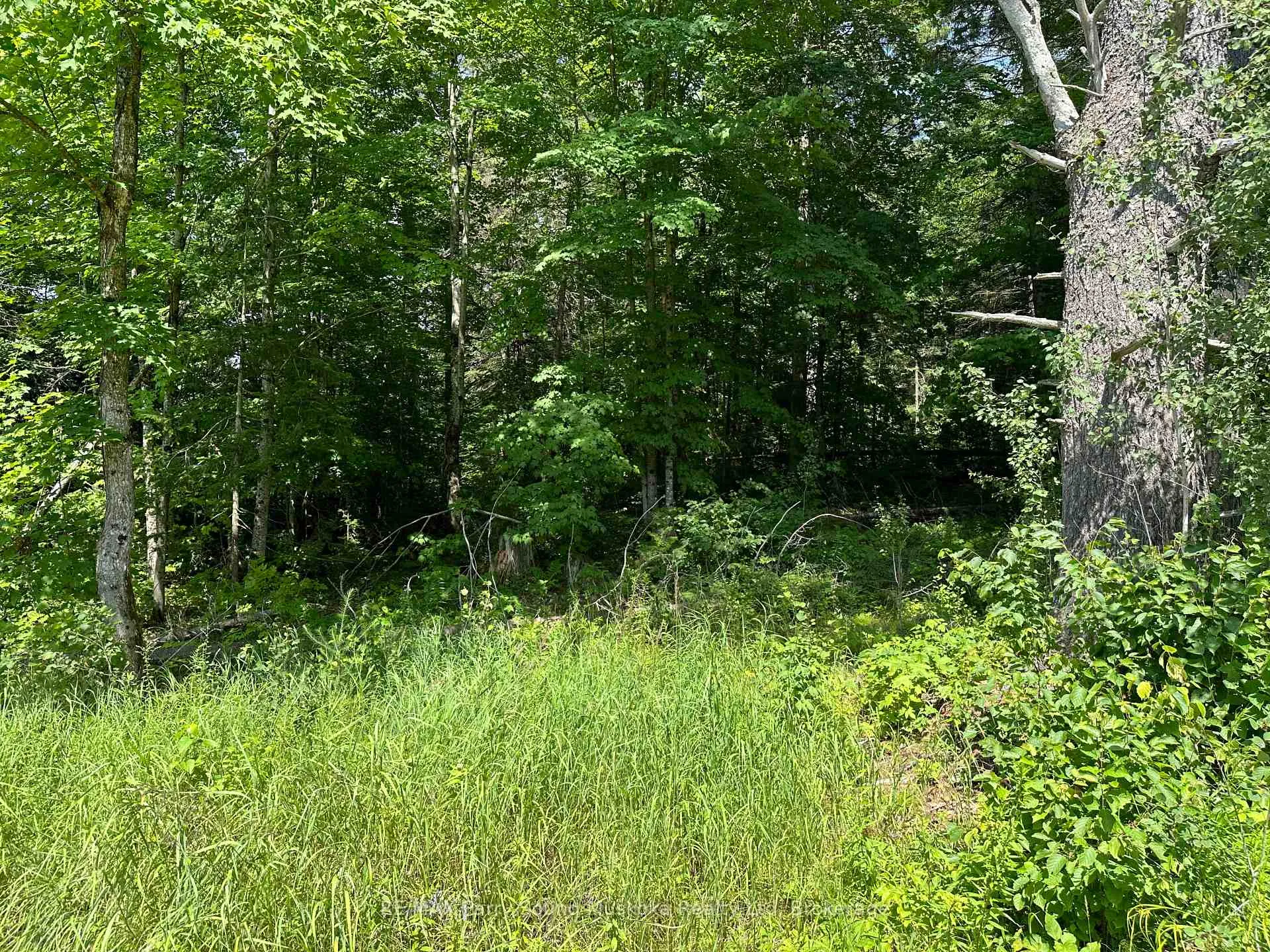 Photo 8 of Blackwater Road, McKellar — HOMEH