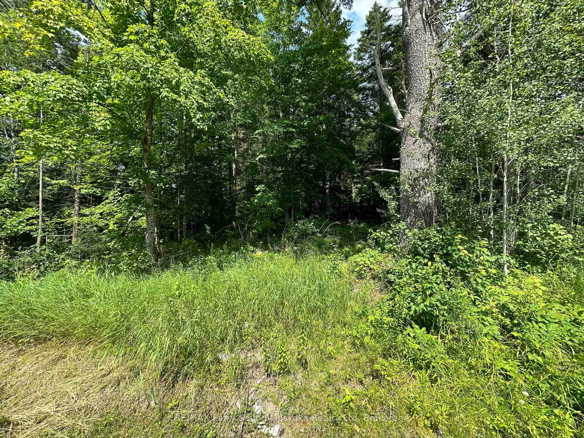 Photo 9 of Blackwater Road, McKellar — HOMEH