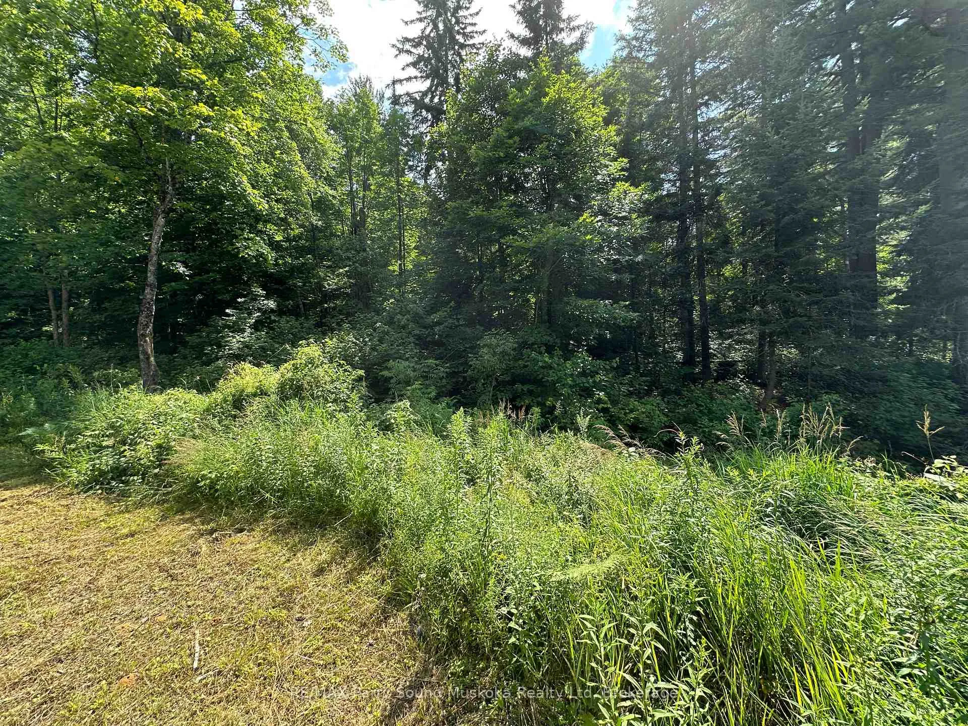 Photo 18 of Blackwater Road, McKellar — HOMEH