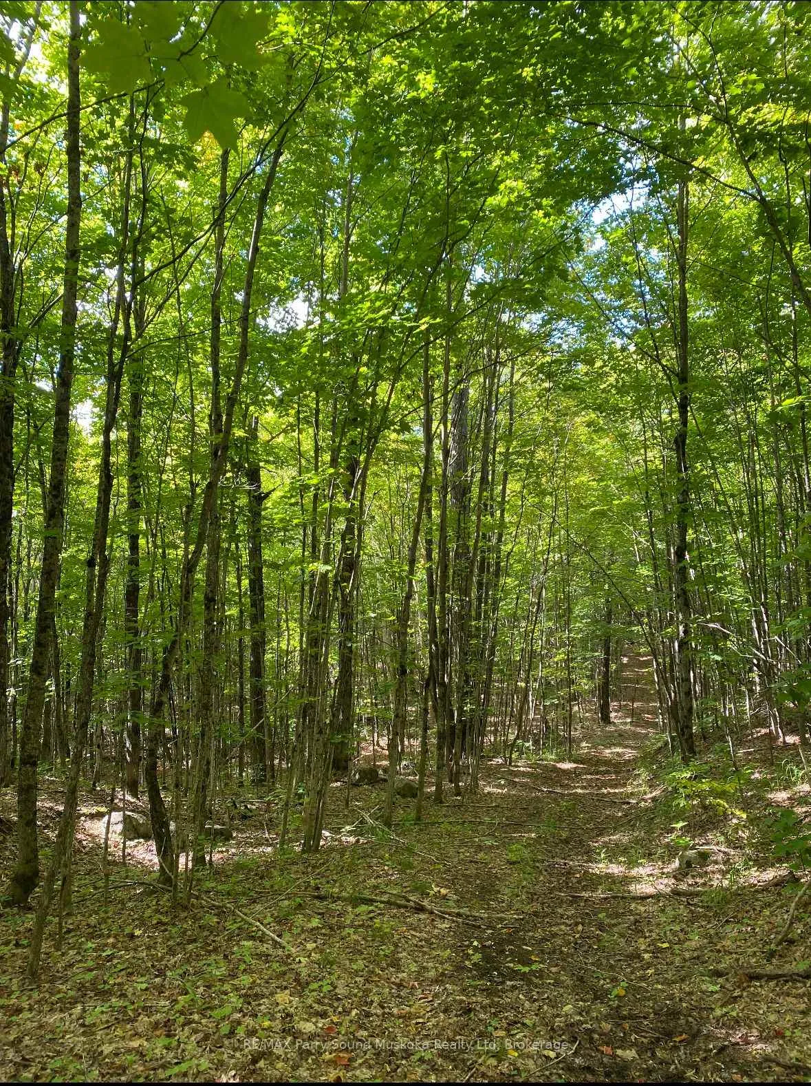 Photo 25 of Blackwater Road, McKellar — HOMEH