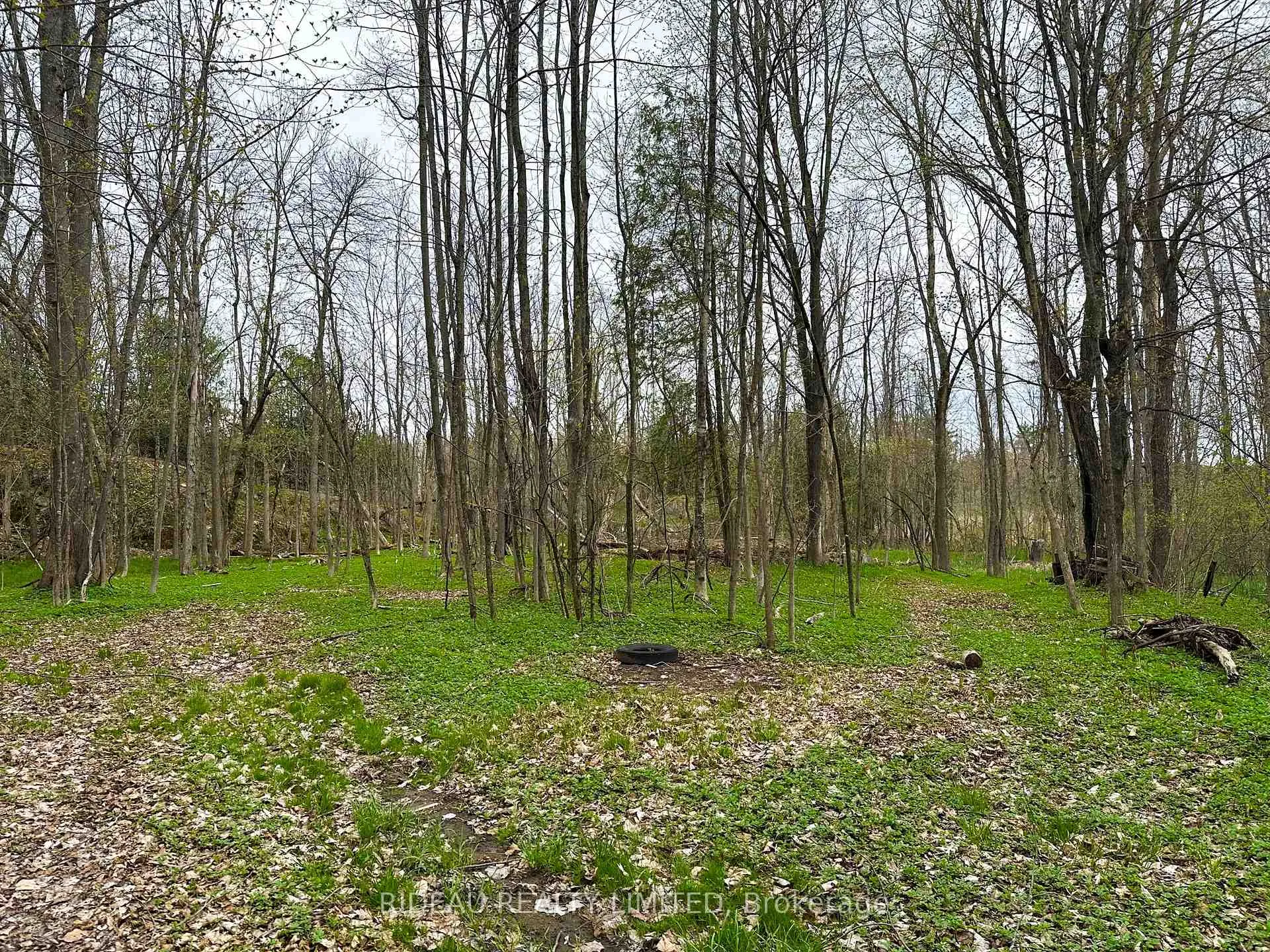 Photo 1 of PL21 Pine Glen Road, Rideau Lakes, Rideau Lakes (South Crosby) Twp — HOMEH