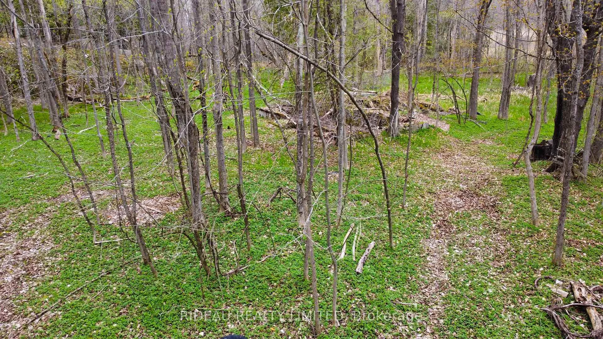 Photo 3 of PL21 Pine Glen Road, Rideau Lakes, Rideau Lakes (South Crosby) Twp — HOMEH