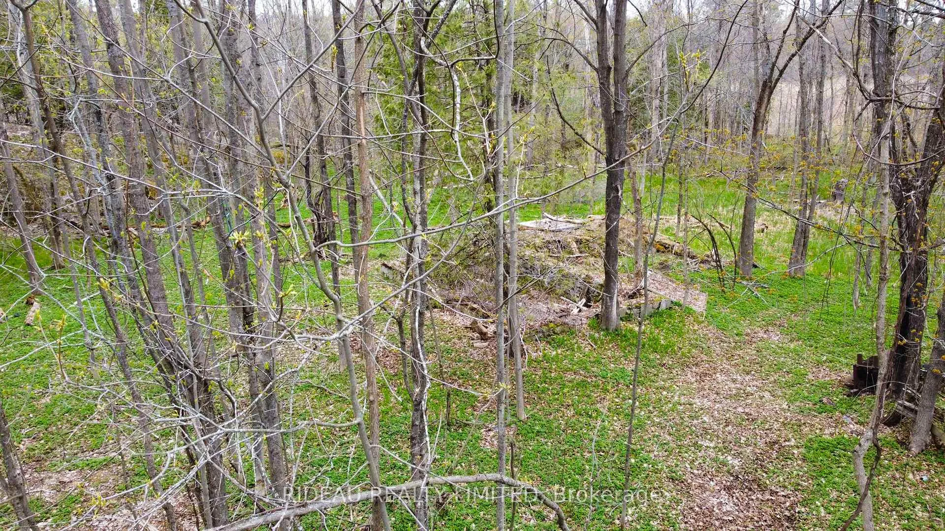 Photo 4 of PL21 Pine Glen Road, Rideau Lakes, Rideau Lakes (South Crosby) Twp — HOMEH