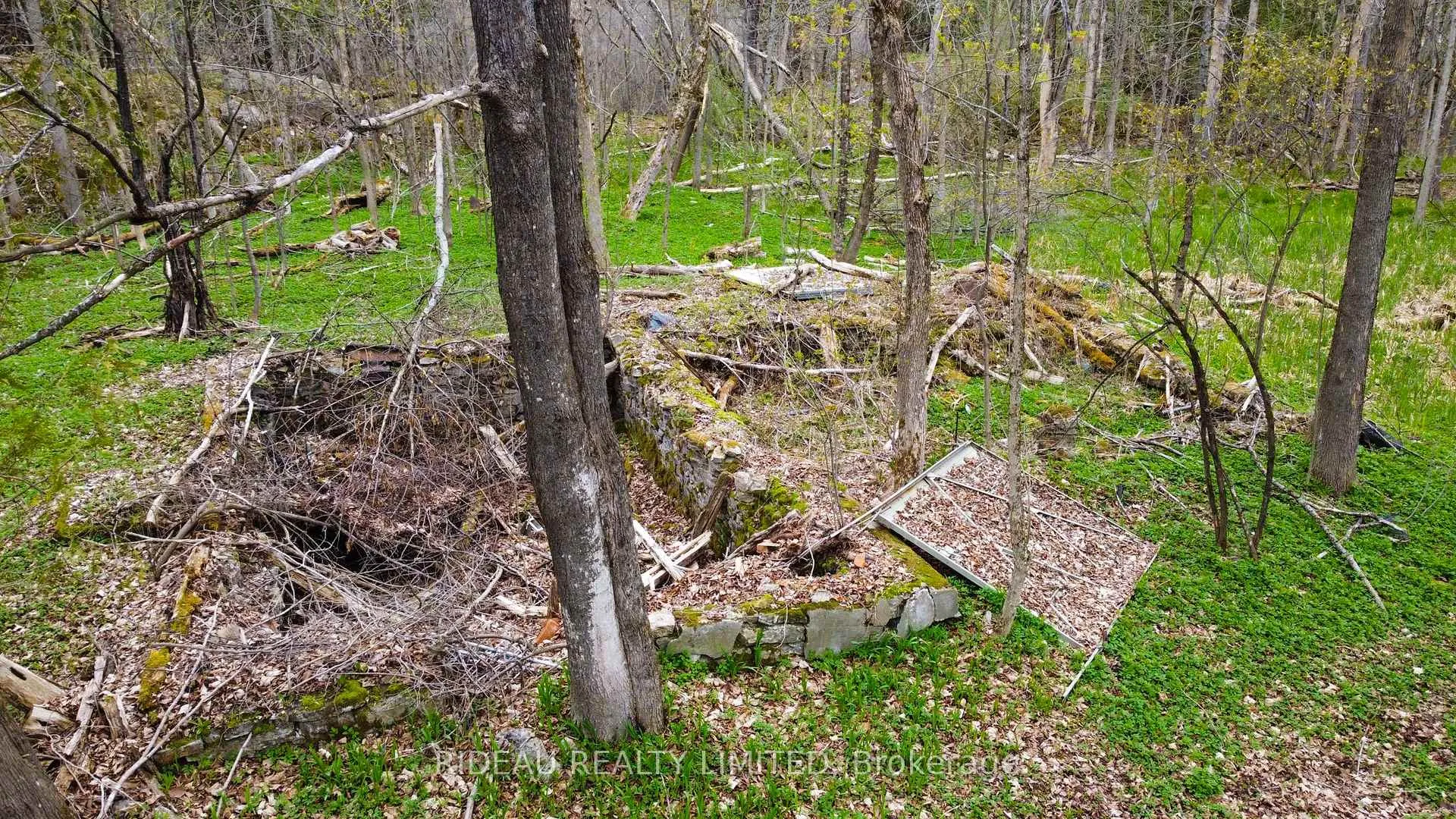Photo 7 of PL21 Pine Glen Road, Rideau Lakes, Rideau Lakes (South Crosby) Twp — HOMEH
