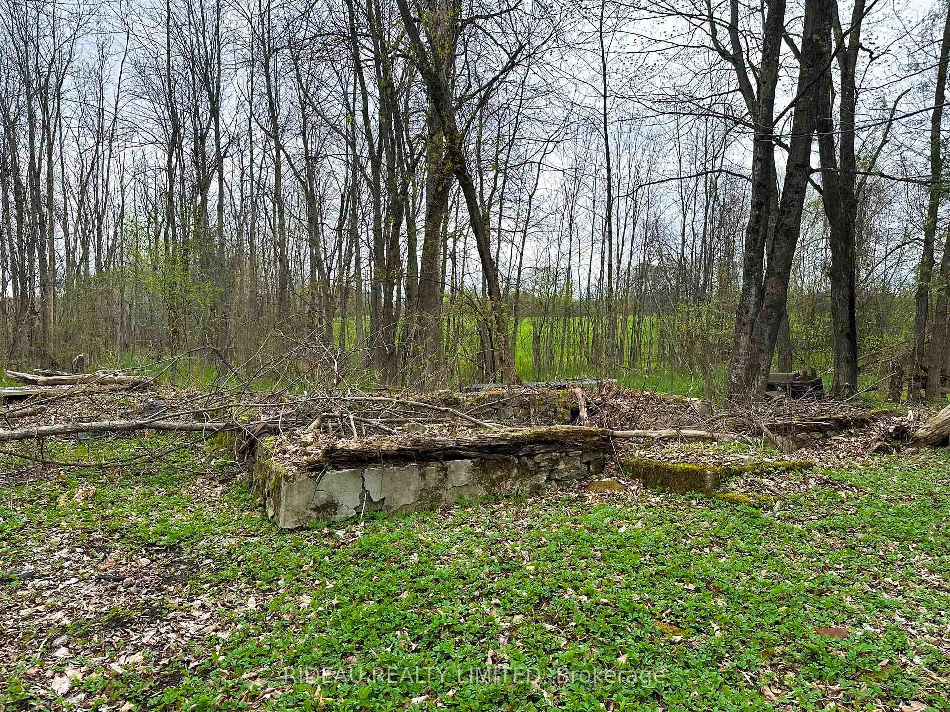 Photo 8 of PL21 Pine Glen Road, Rideau Lakes, Rideau Lakes (South Crosby) Twp — HOMEH