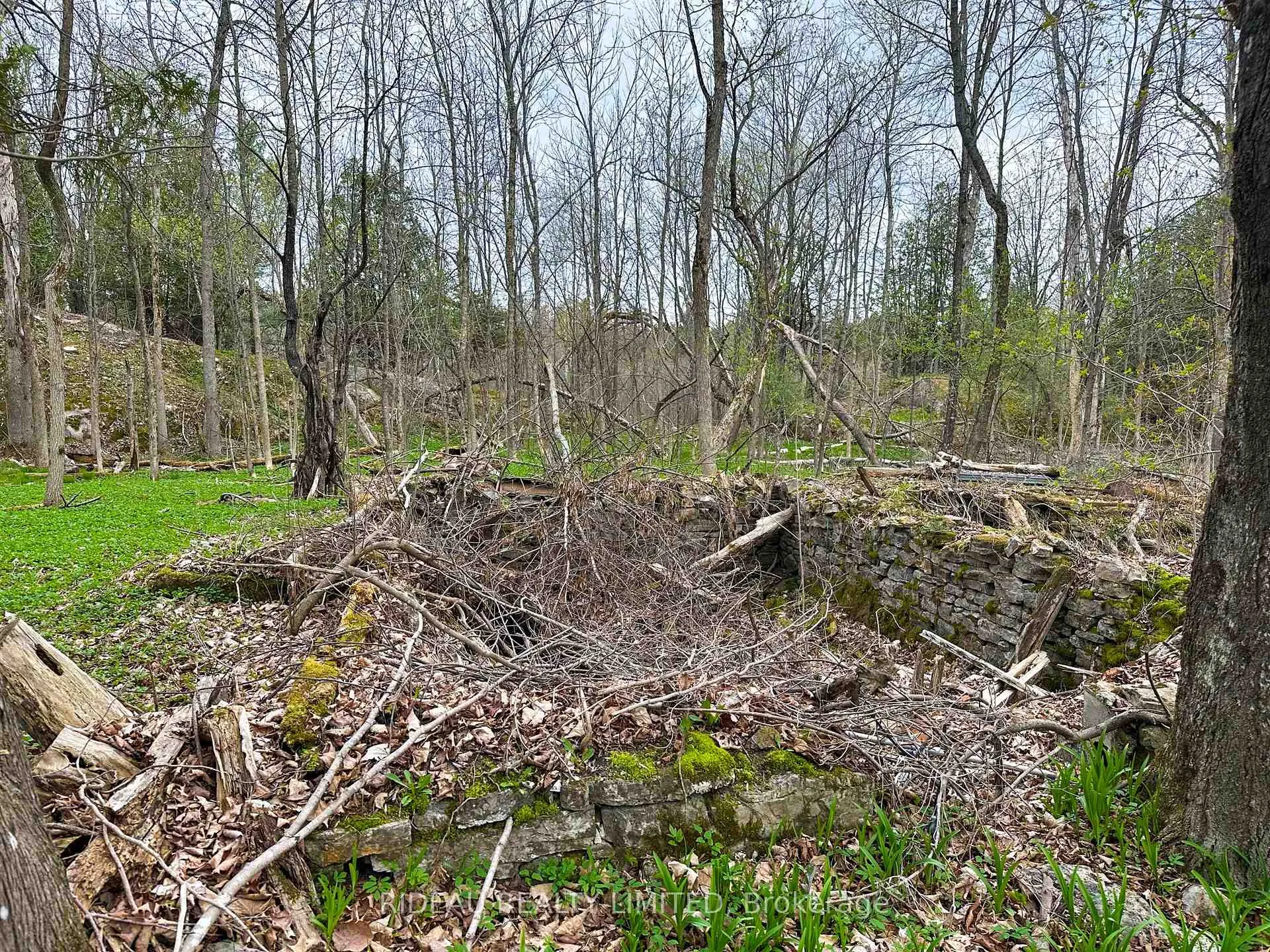 Photo 9 of PL21 Pine Glen Road, Rideau Lakes, Rideau Lakes (South Crosby) Twp — HOMEH