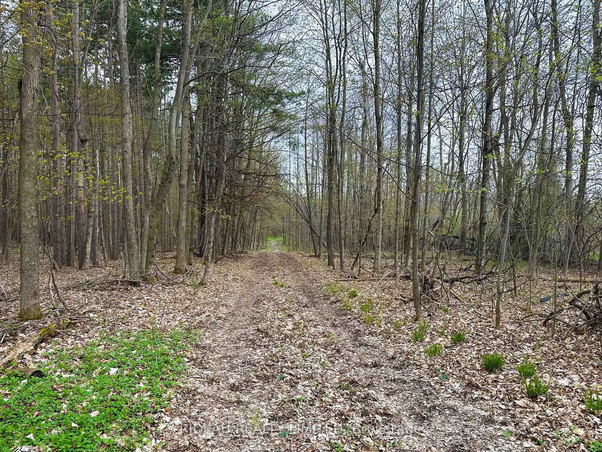 Photo 11 of PL21 Pine Glen Road, Rideau Lakes, Rideau Lakes (South Crosby) Twp — HOMEH