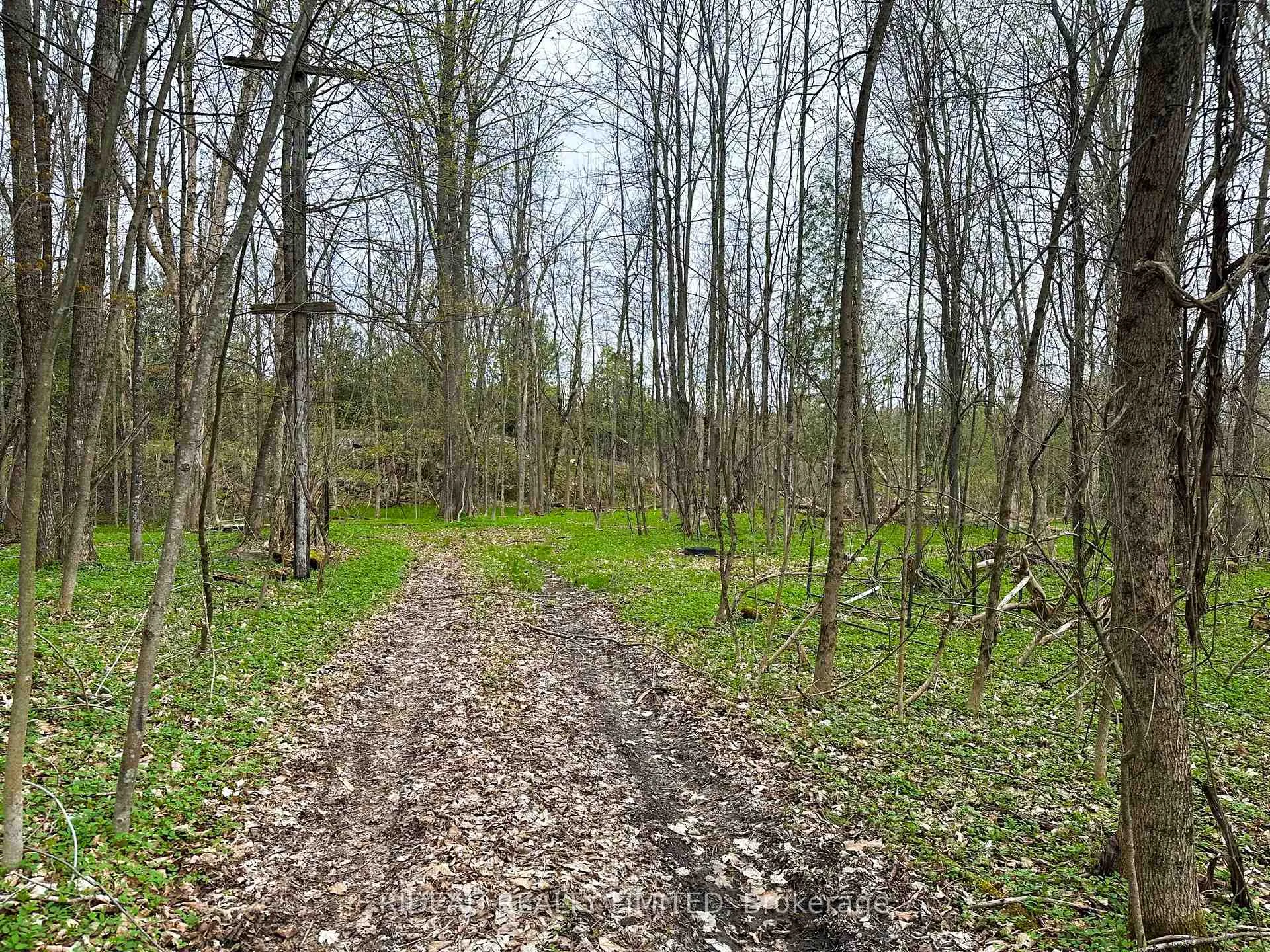 Photo 12 of PL21 Pine Glen Road, Rideau Lakes, Rideau Lakes (South Crosby) Twp — HOMEH