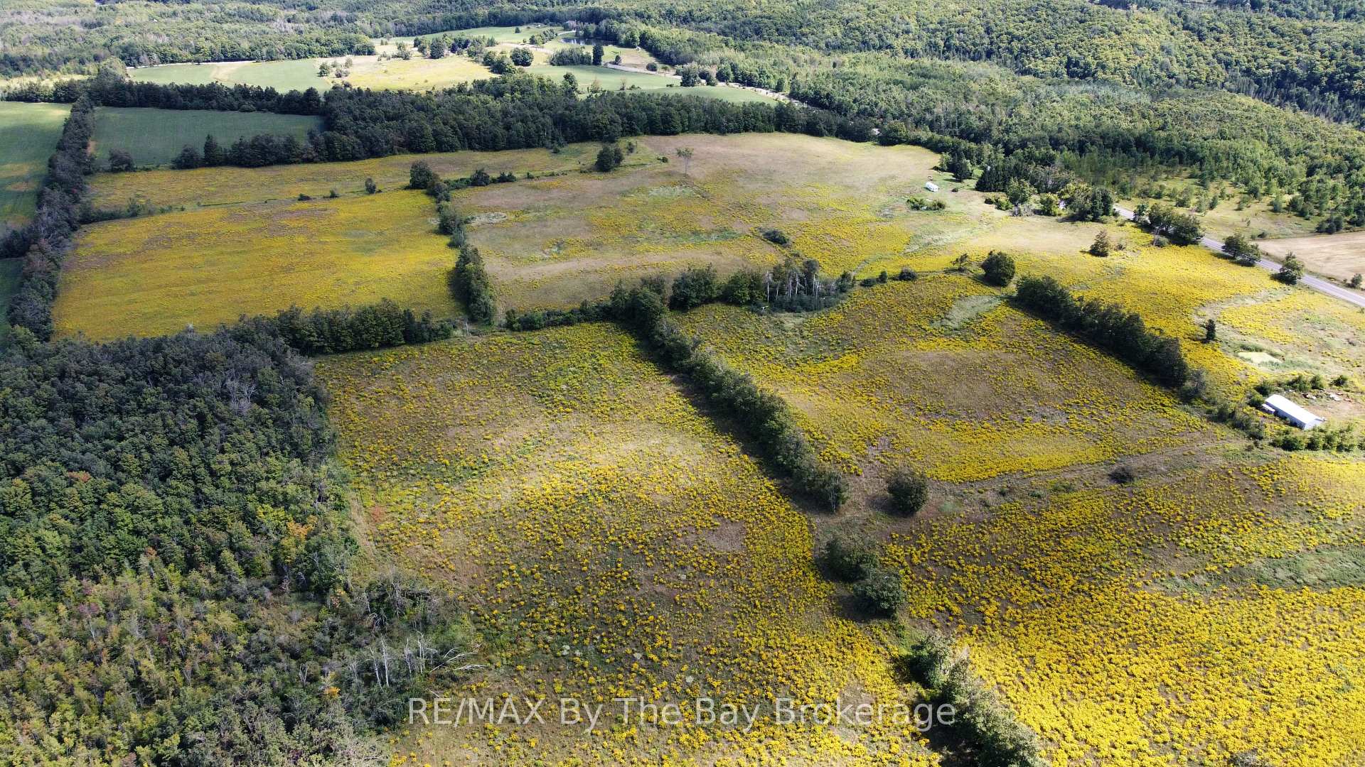 Photo 2 of 9878 County Road 9 Acres, Clearview, Rural Clearview — HOMEH