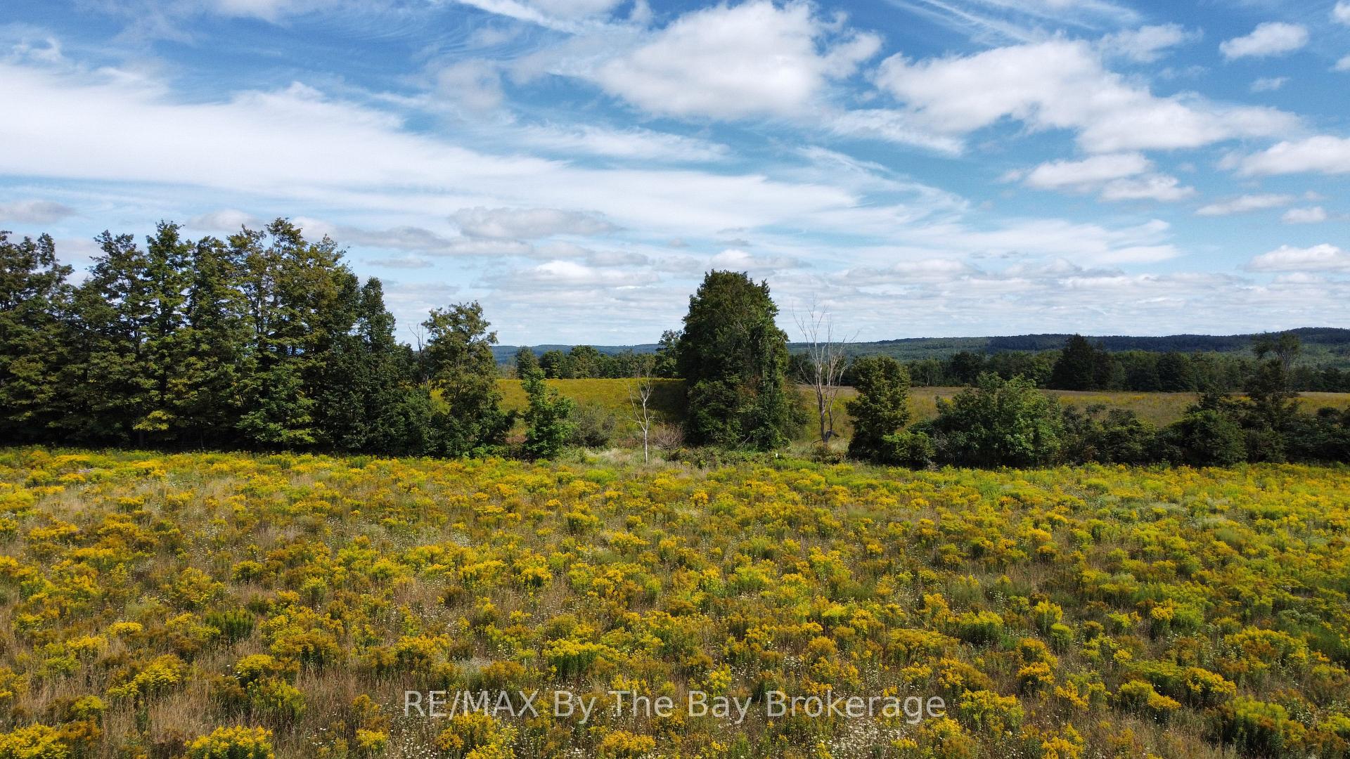 Photo 3 of 9878 County Road 9 Acres, Clearview, Rural Clearview — HOMEH