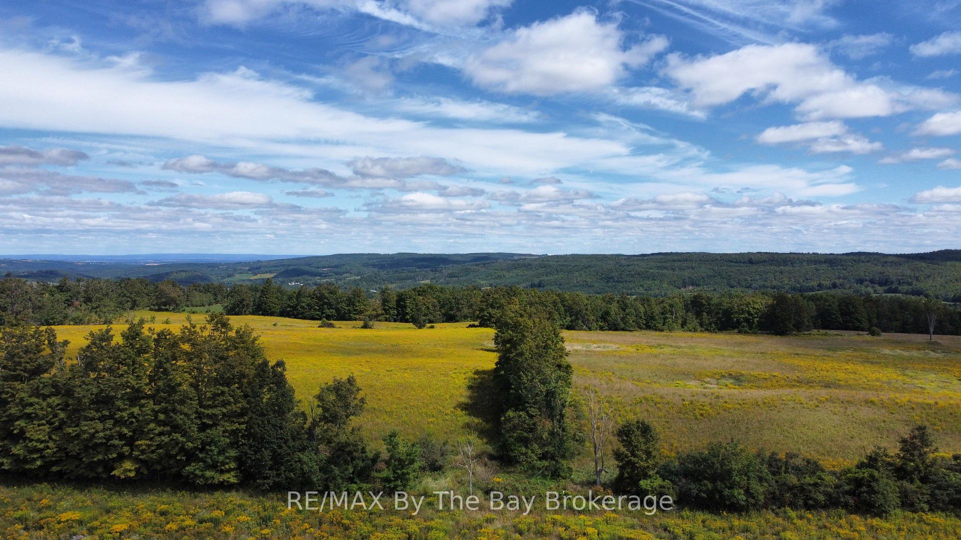 Photo 4 of 9878 County Road 9 Acres, Clearview, Rural Clearview — HOMEH