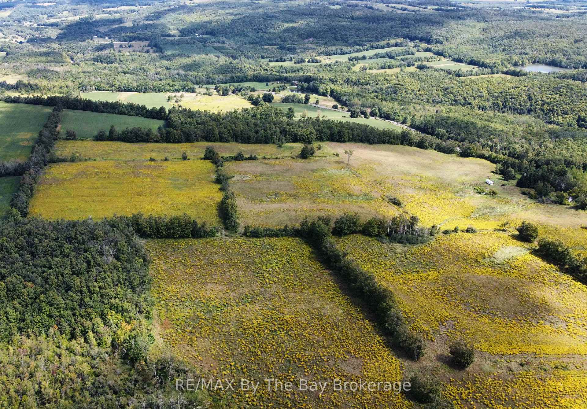 Photo 6 of 9878 County Road 9 Acres, Clearview, Rural Clearview — HOMEH
