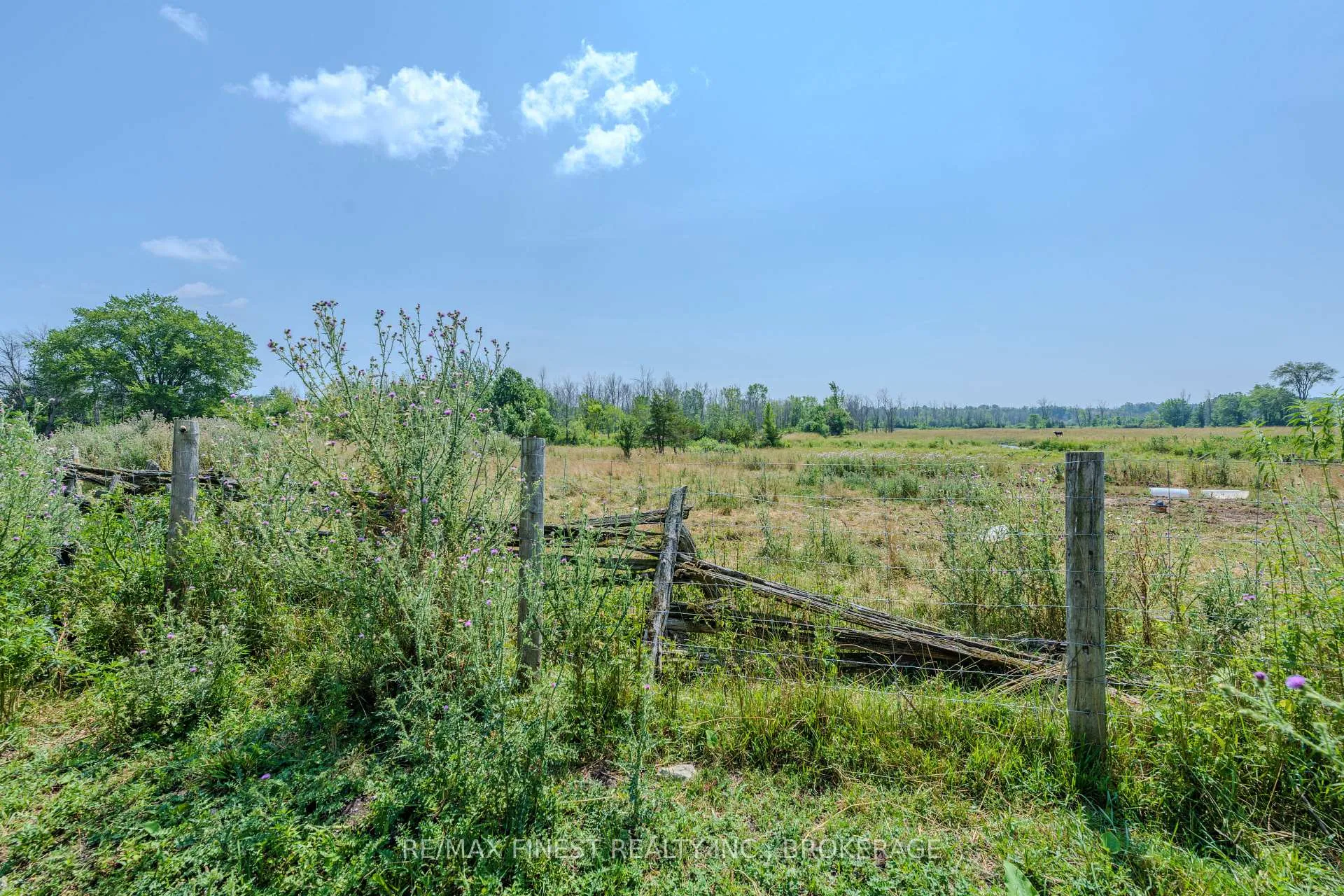 Photo 27 of 888 Simmons Road, Loyalist, Lennox and Addington - South — HOMEH