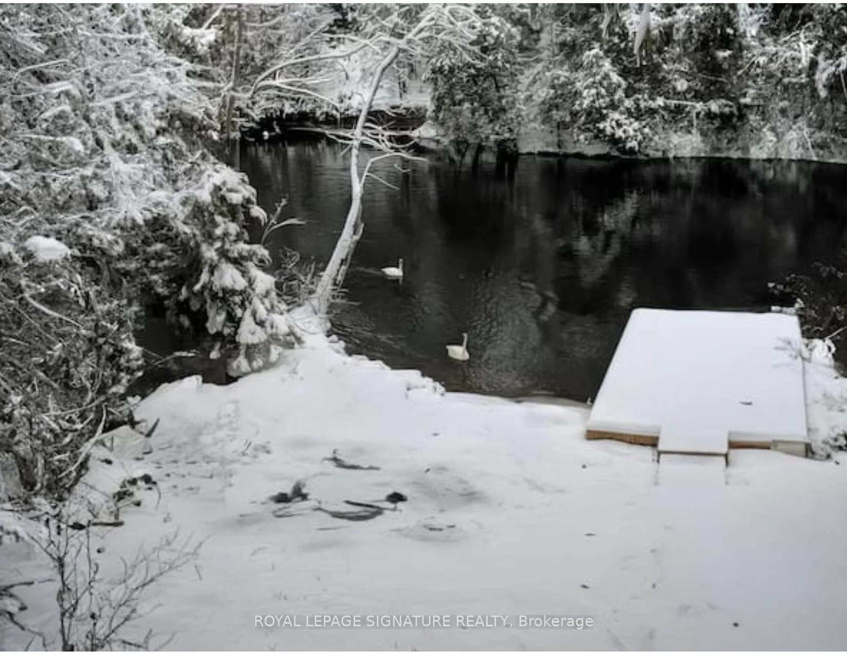 Photo 1 of 3309 Riverdale Drive, Severn, Washago — HOMEH