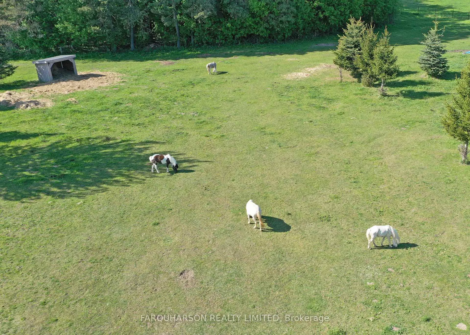 Photo 35 of 736 Ball Road, Uxbridge, Rural Uxbridge — HOMEH