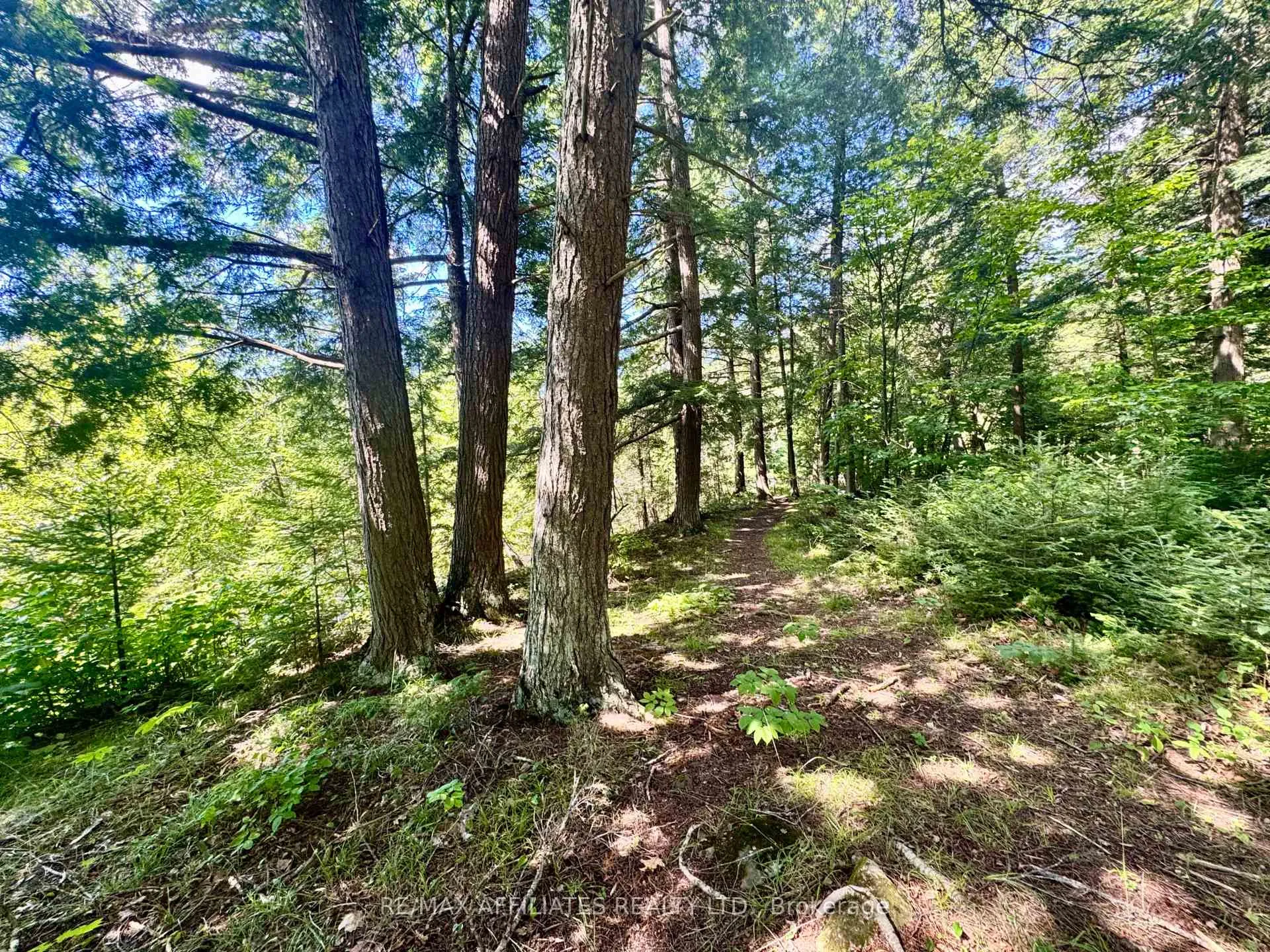 Photo 25 of 6828 511 Highway, Lanark Highlands, Lanark Highlands (Darling) Twp — HOMEH