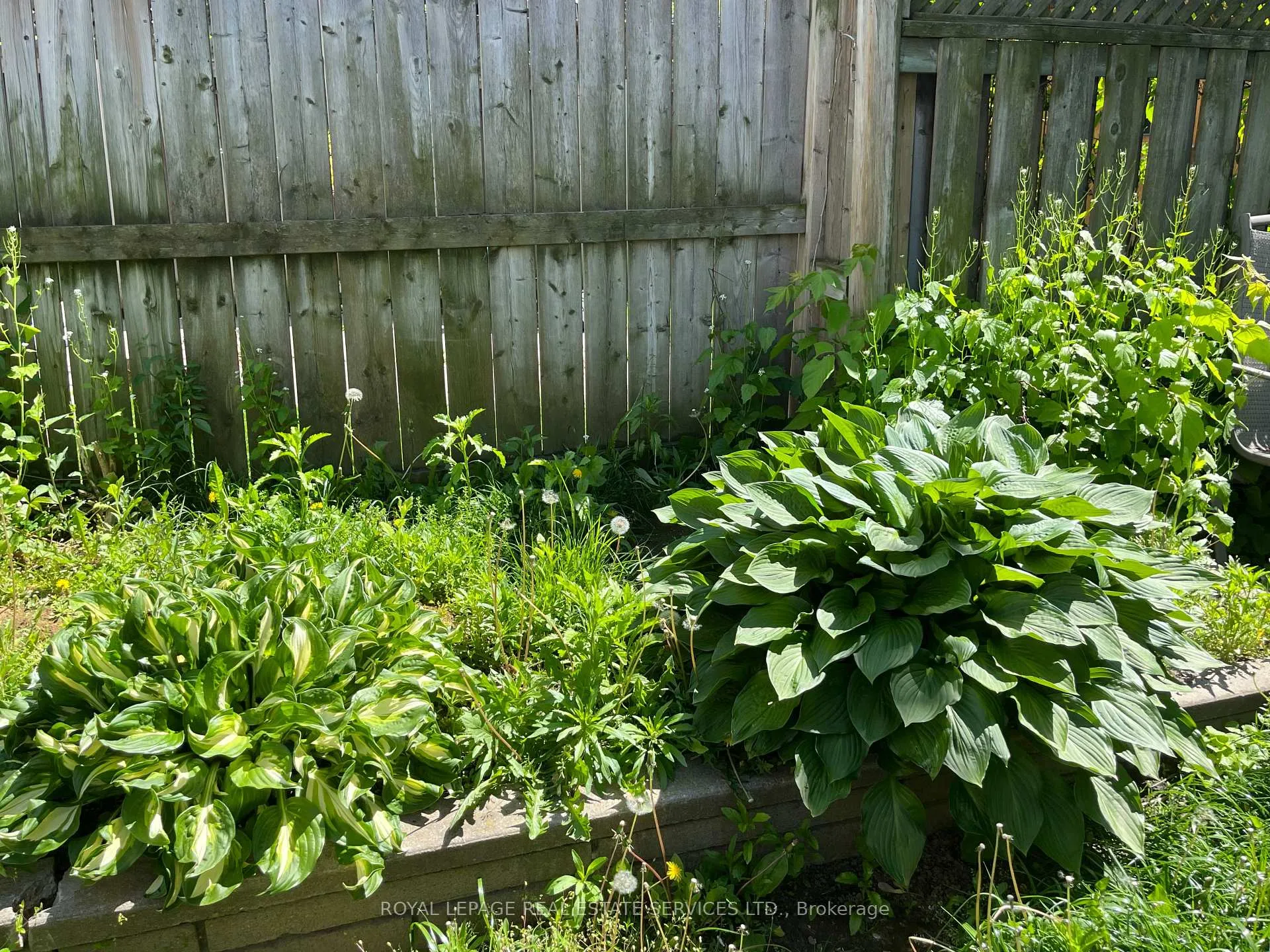 Photo 15 of Unit Main, 40 Bonnie Brae Boulevard, Toronto, Danforth Village-East York — HOMEH