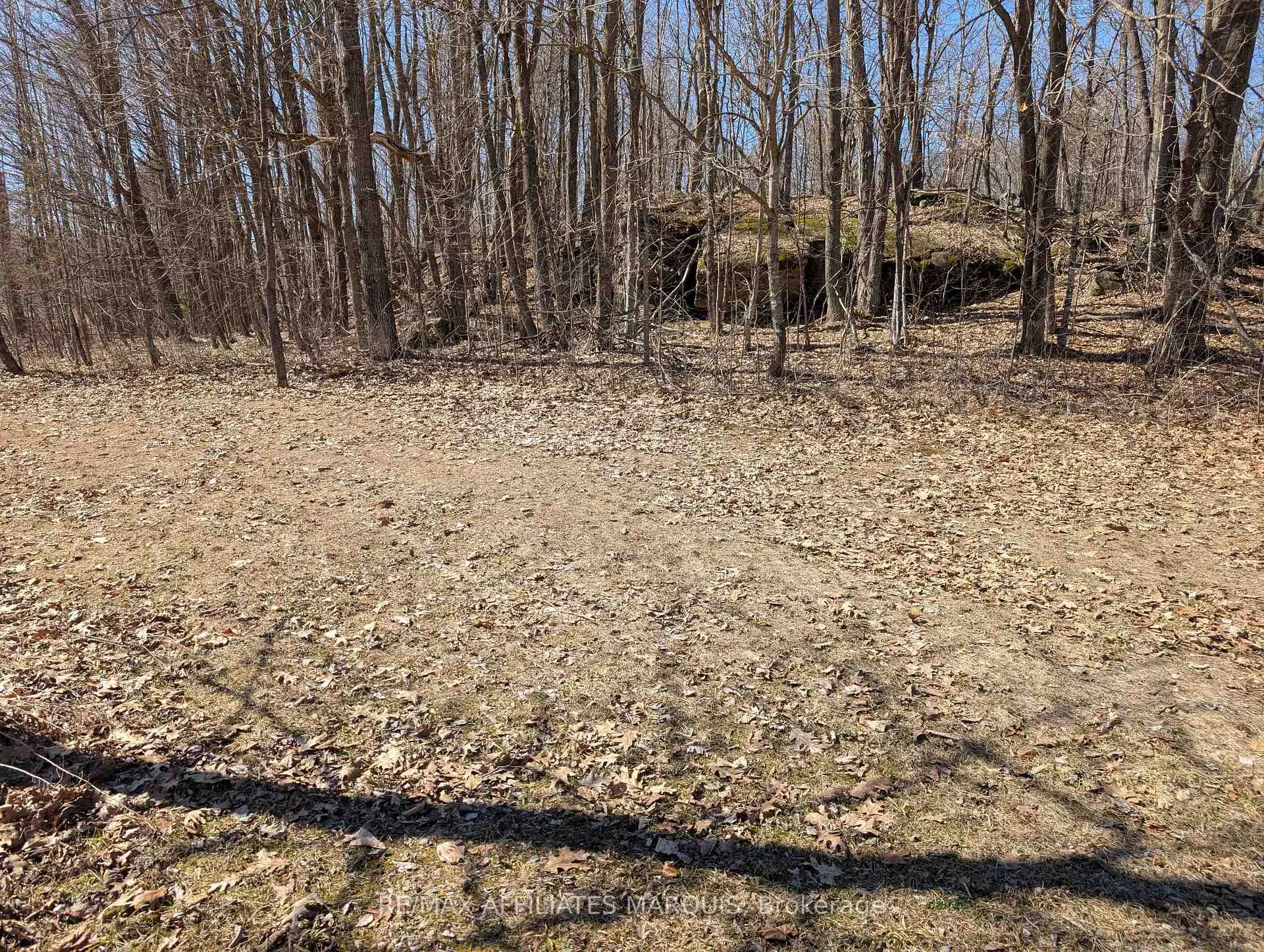 Photo 7 of Sand Lake Road, Rideau Lakes, Rideau Lakes (South Crosby) Twp — HOMEH
