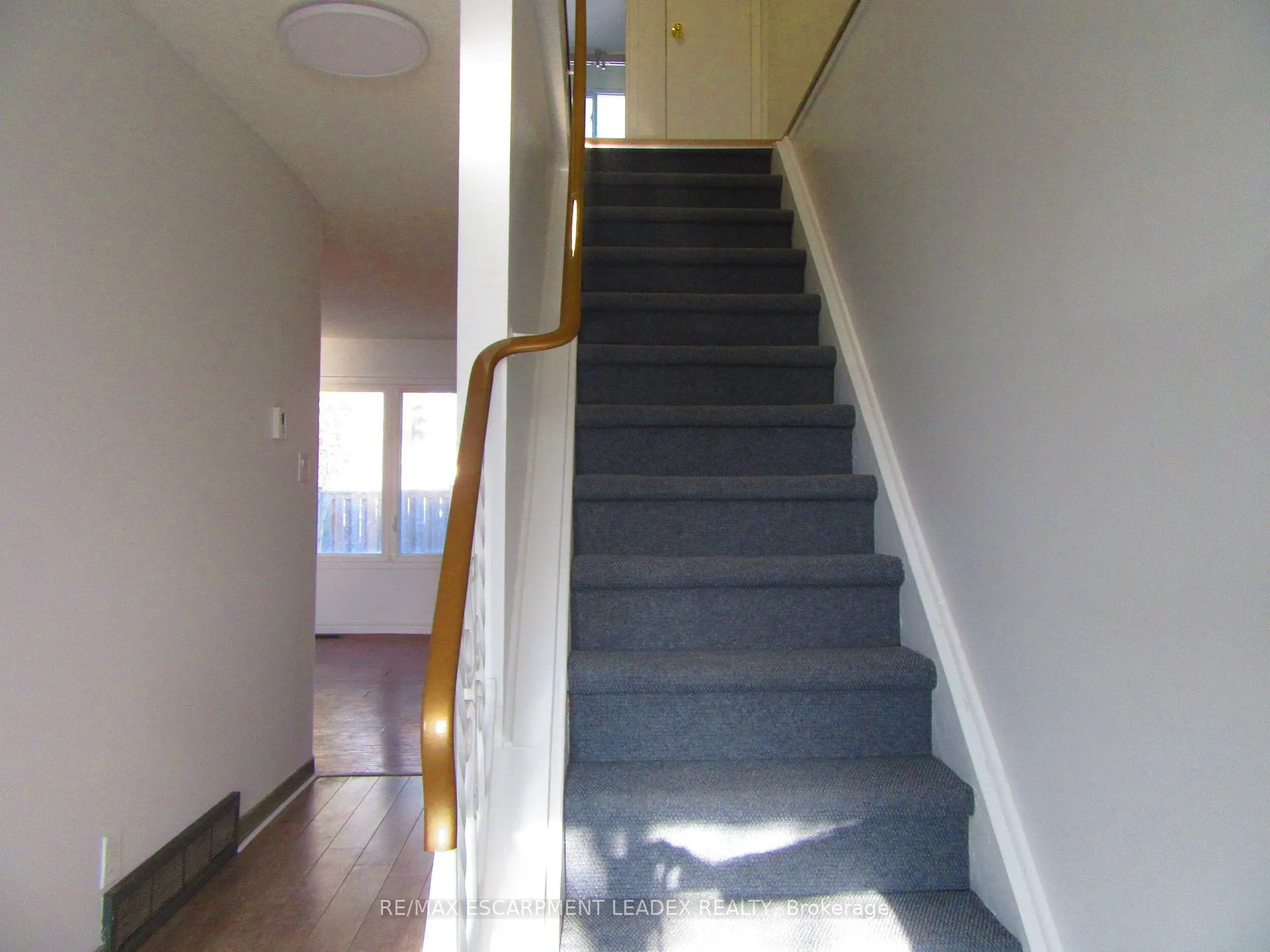 Photo 16 of 19 Beryl Street, Hamilton, Berrisfield — HOMEH