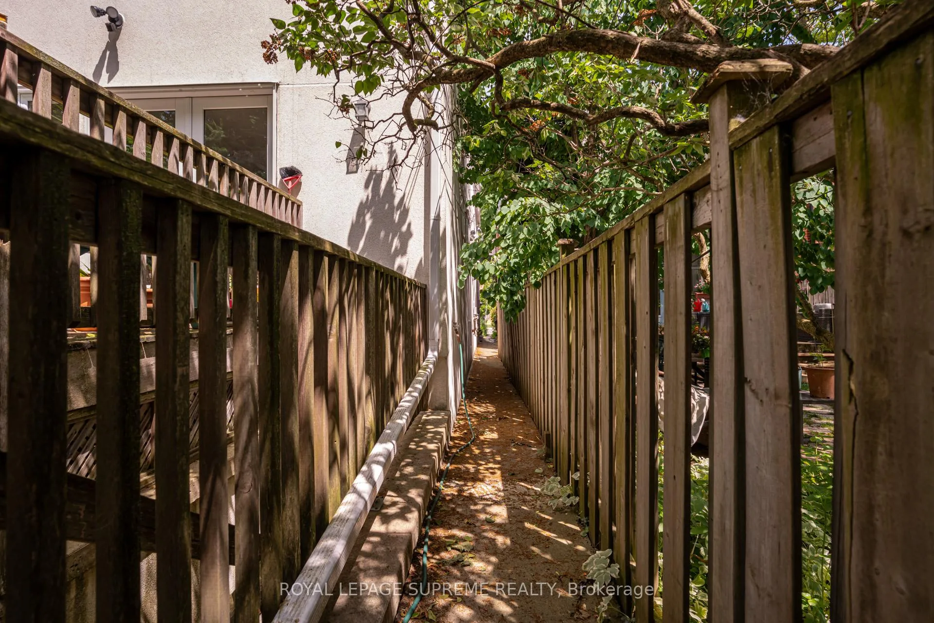 Photo 5 of Unit Lower, 66 Kenwood Avenue, Toronto, Humewood-Cedarvale — HOMEH