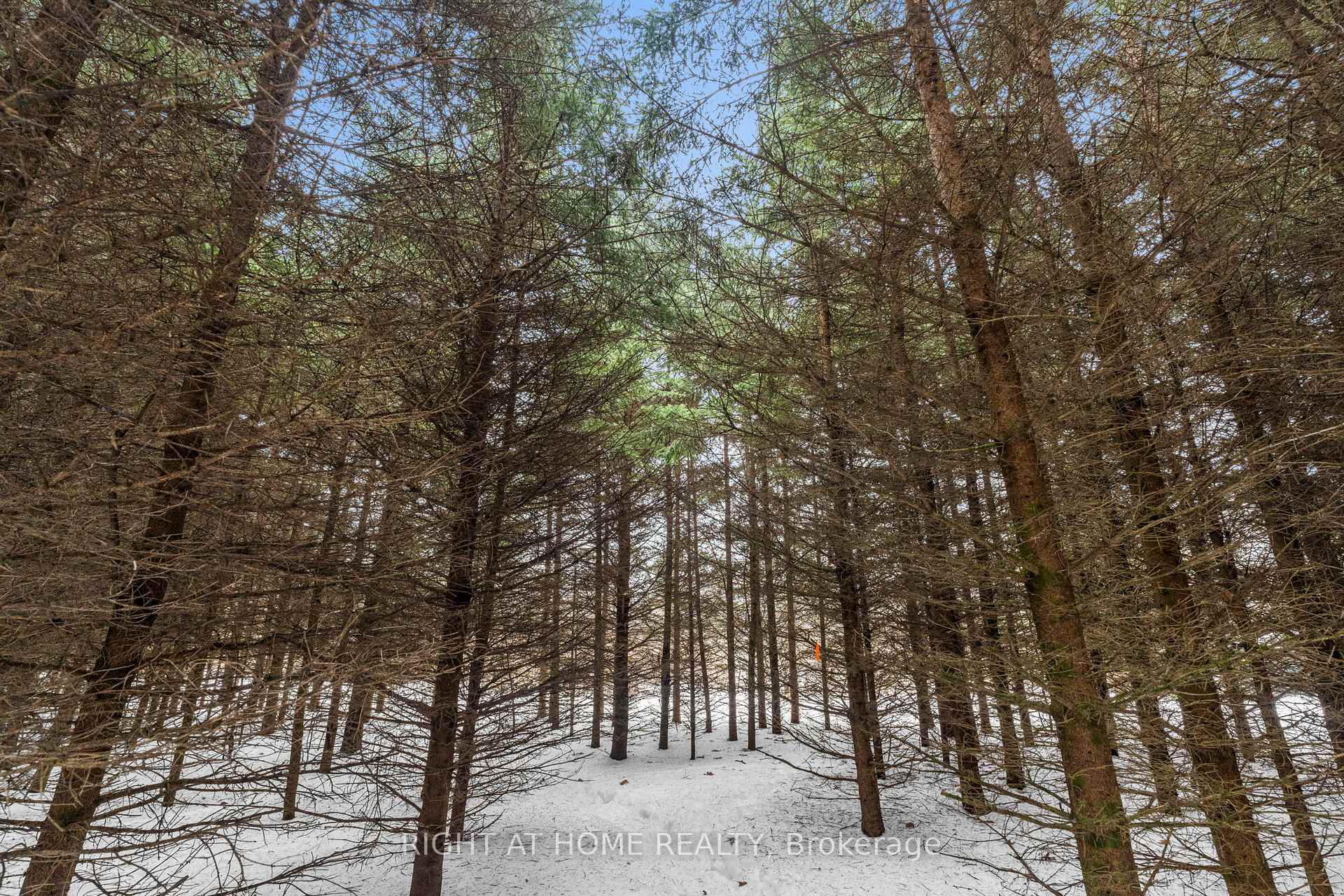 Photo 40 of 3016 Greenland Road, Ottawa, Dunrobin Shores — HOMEH