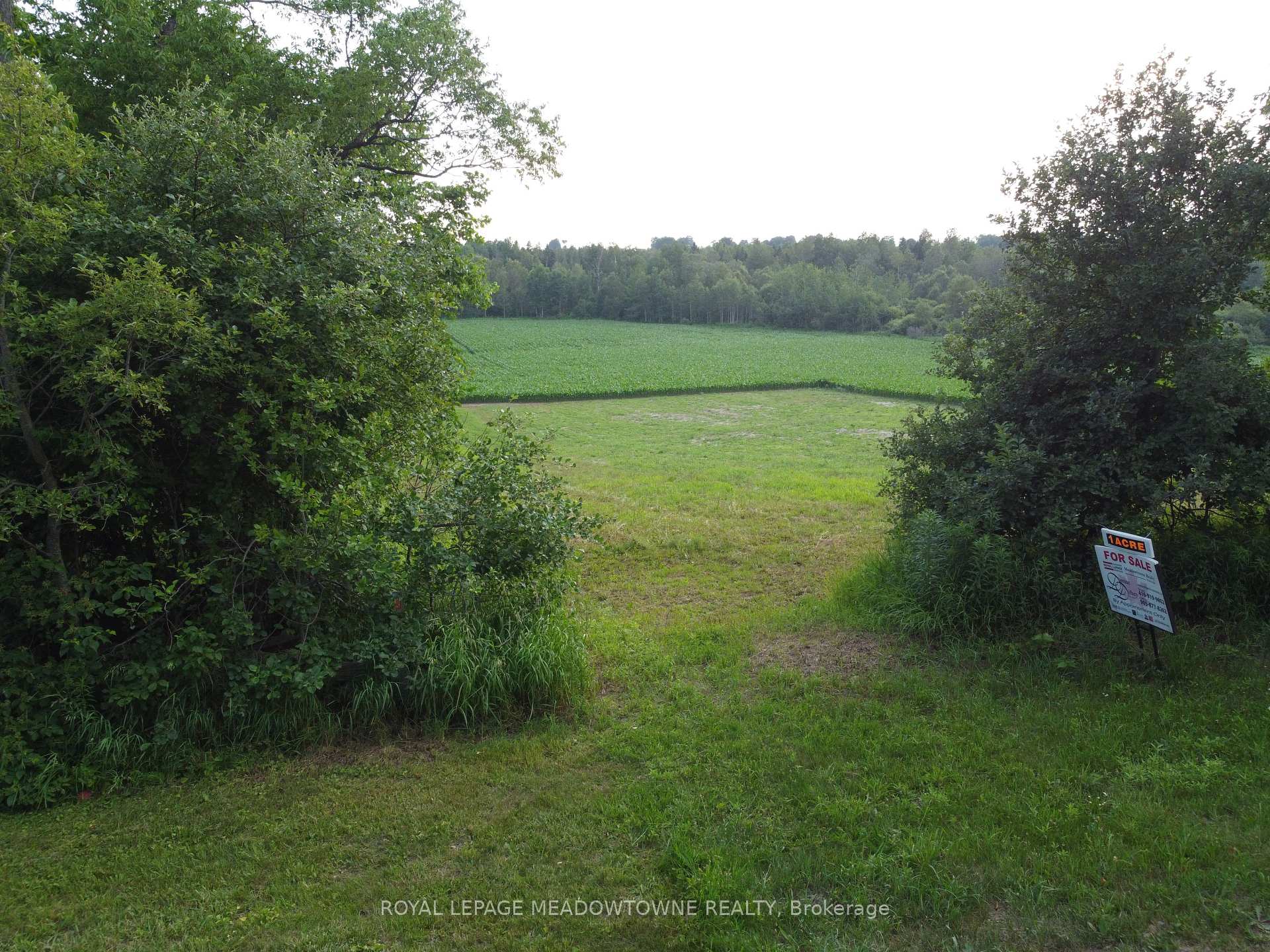 Photo 15 of 5258 Third Line, Erin, Rural Erin — HOMEH