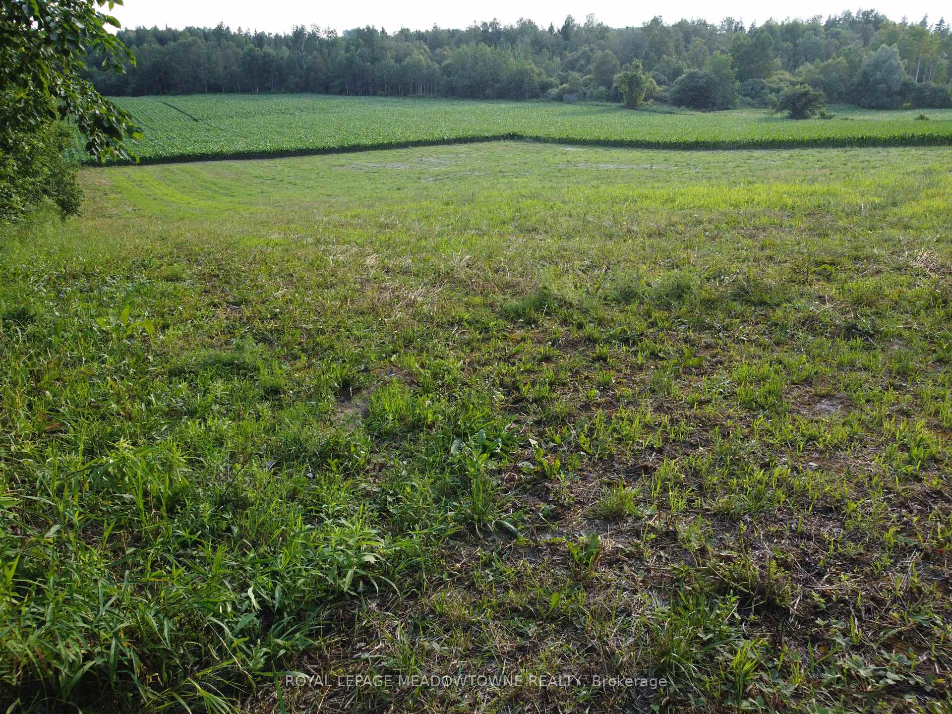 Photo 27 of 5258 Third Line, Erin, Rural Erin — HOMEH