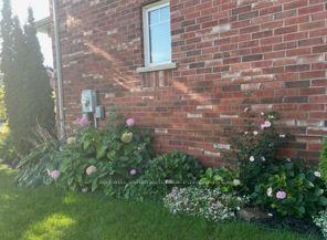 Photo 44 of 47 Mccardy Court, Caledon, Caledon East — HOMEH