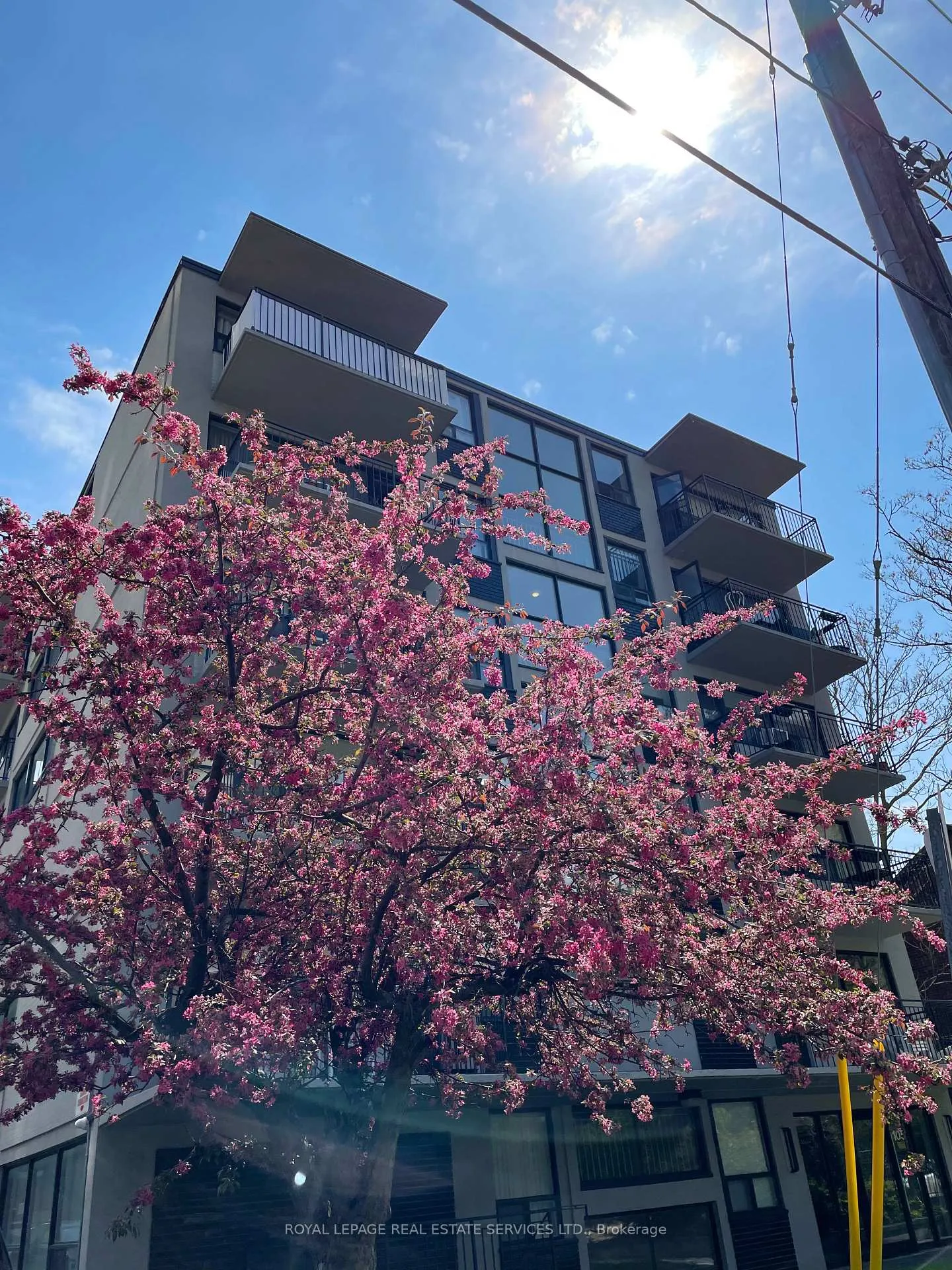 Photo 2 of Unit 504, 105 Raglan Avenue, Toronto, Humewood-Cedarvale — HOMEH