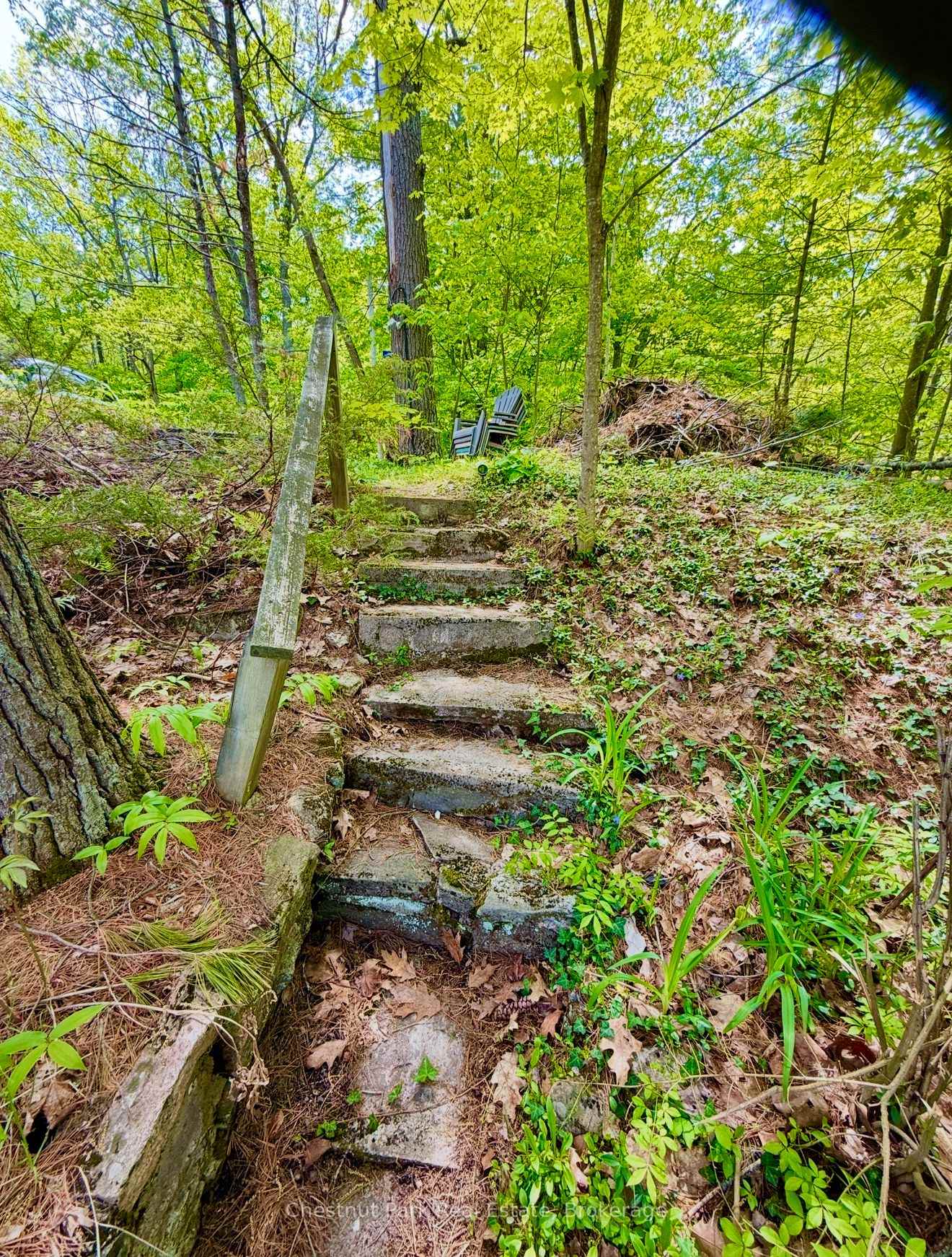 Photo 15 of 1042 3100 Road, Gravenhurst, Muskoka (S) — HOMEH