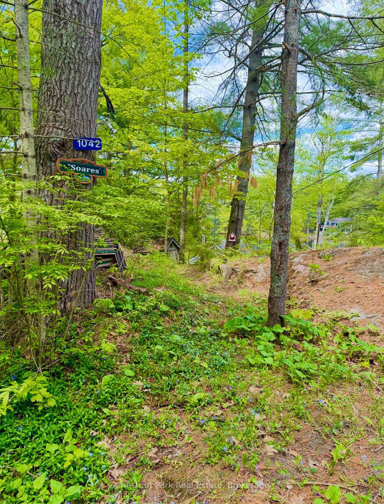Photo 17 of 1042 3100 Road, Gravenhurst, Muskoka (S) — HOMEH