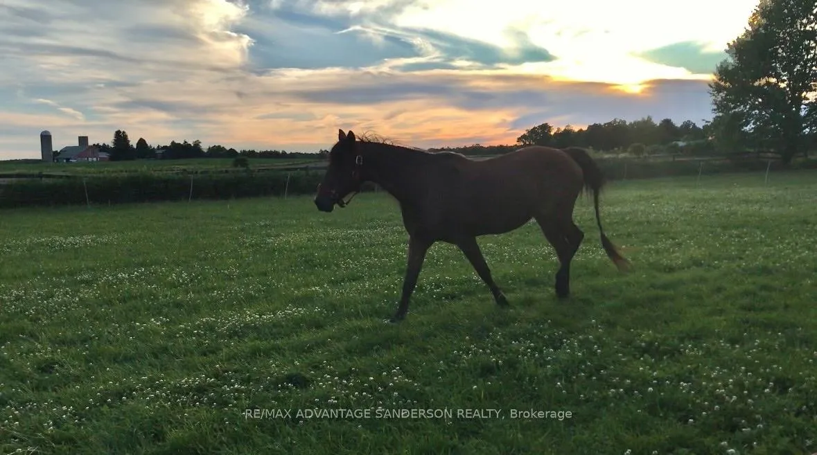 Photo 50 of 21727 Vanneck Road, Middlesex Centre, Rural Middlesex Centre — HOMEH