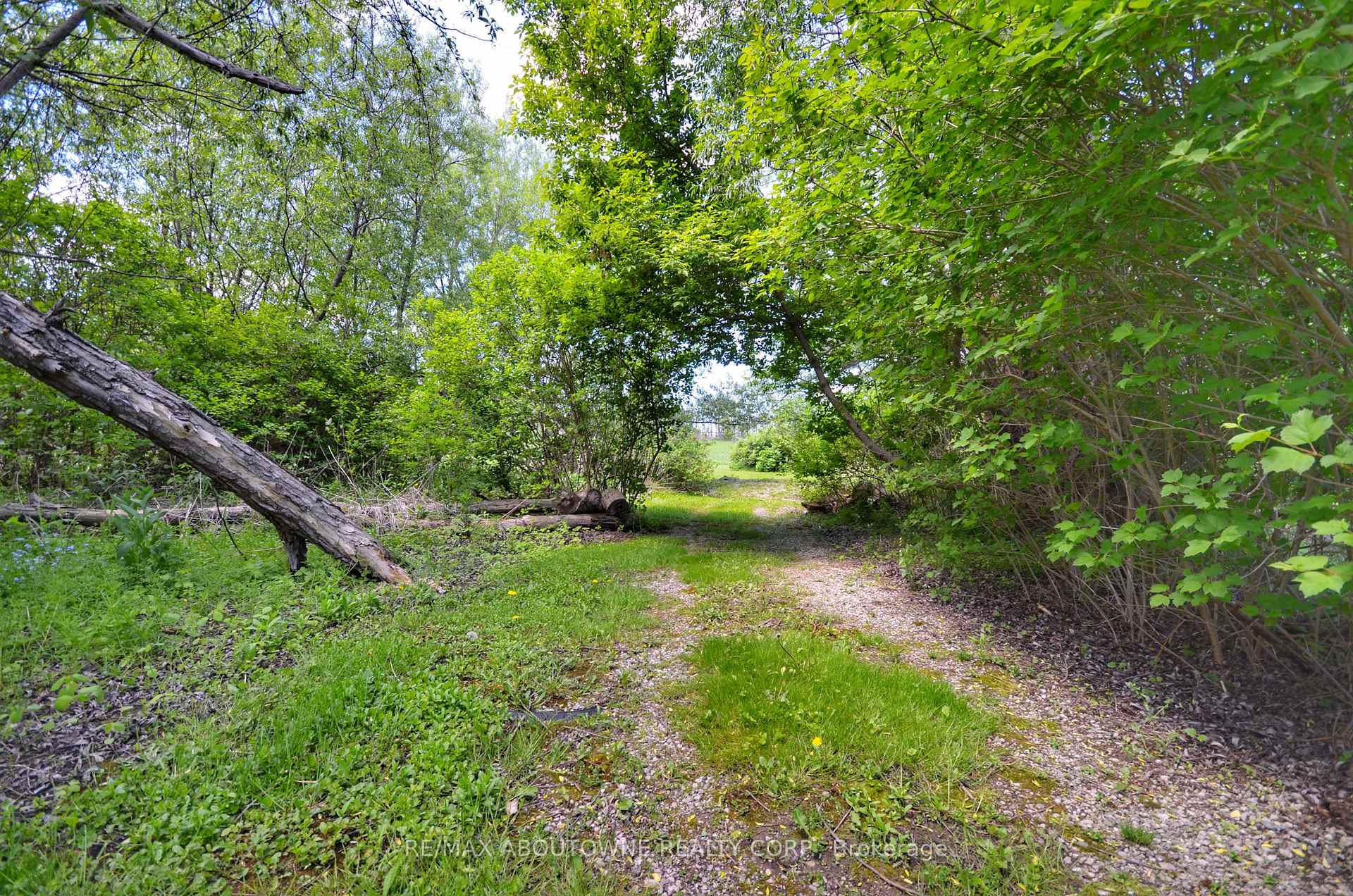 Photo 14 of 3029 Britannia Road, Burlington, Rural Burlington — HOMEH