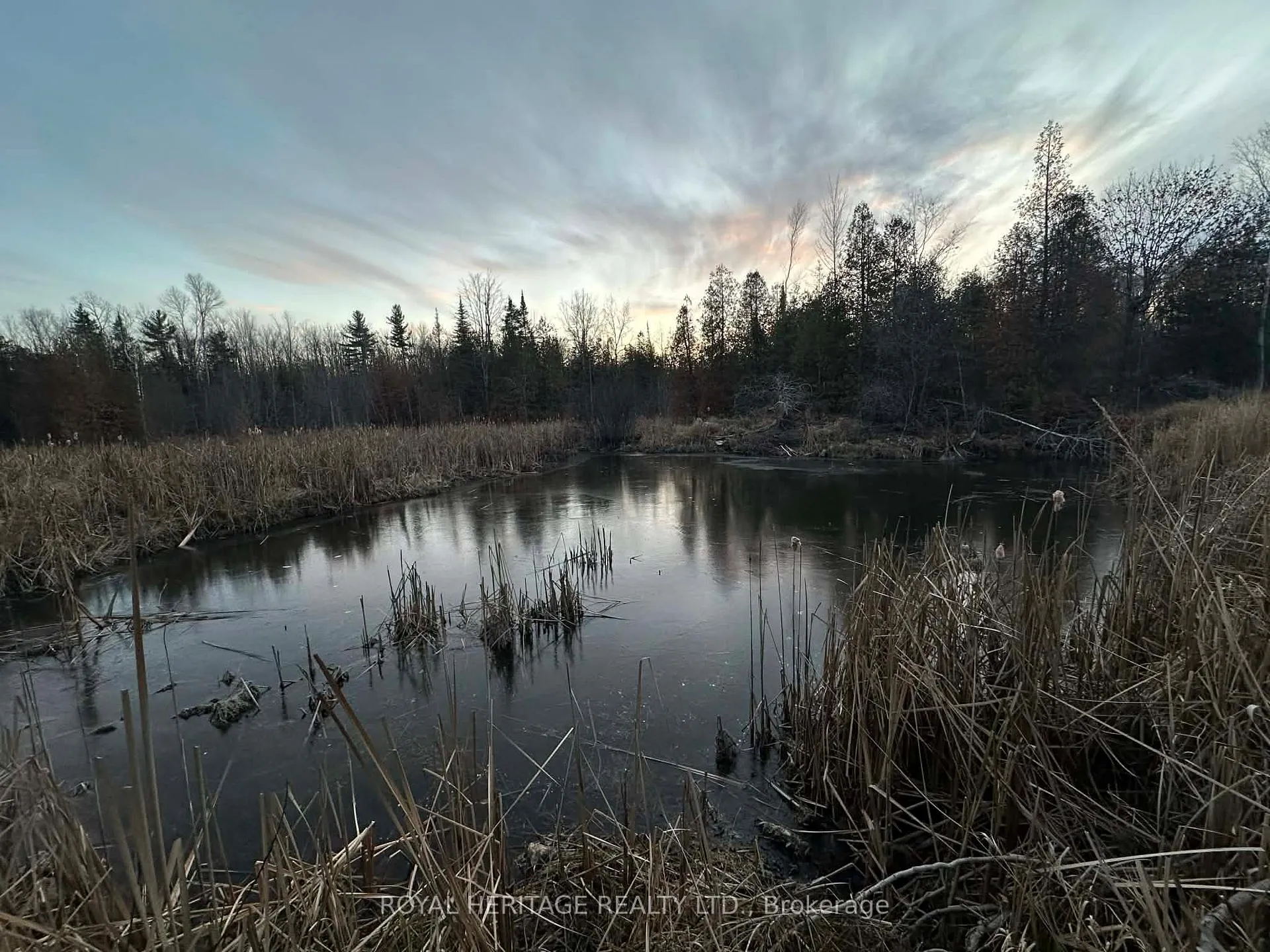 Photo 37 of 1702 County Rd 40, Douro-Dummer — HOMEH