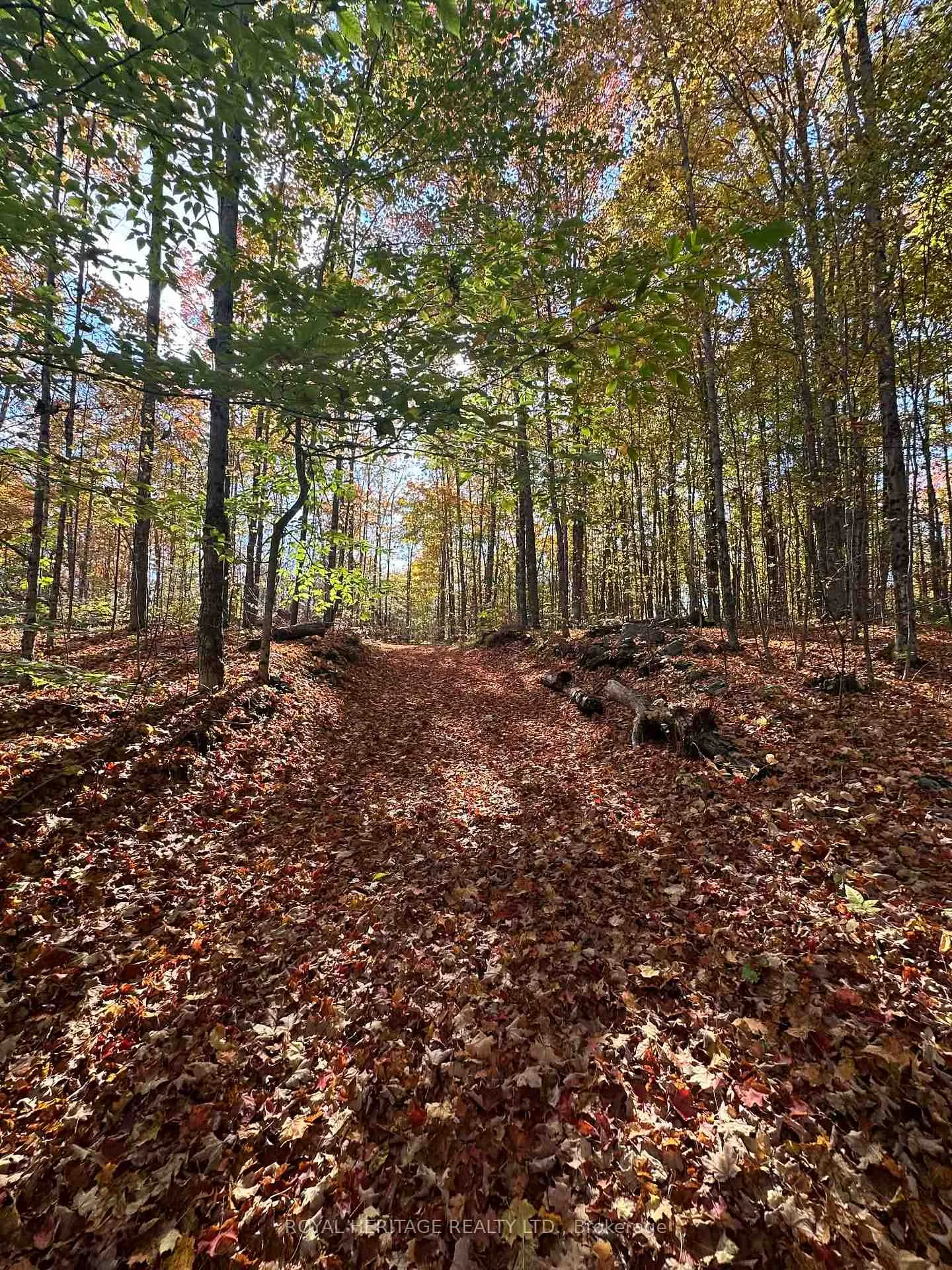 Photo 38 of 1702 County Rd 40, Douro-Dummer — HOMEH