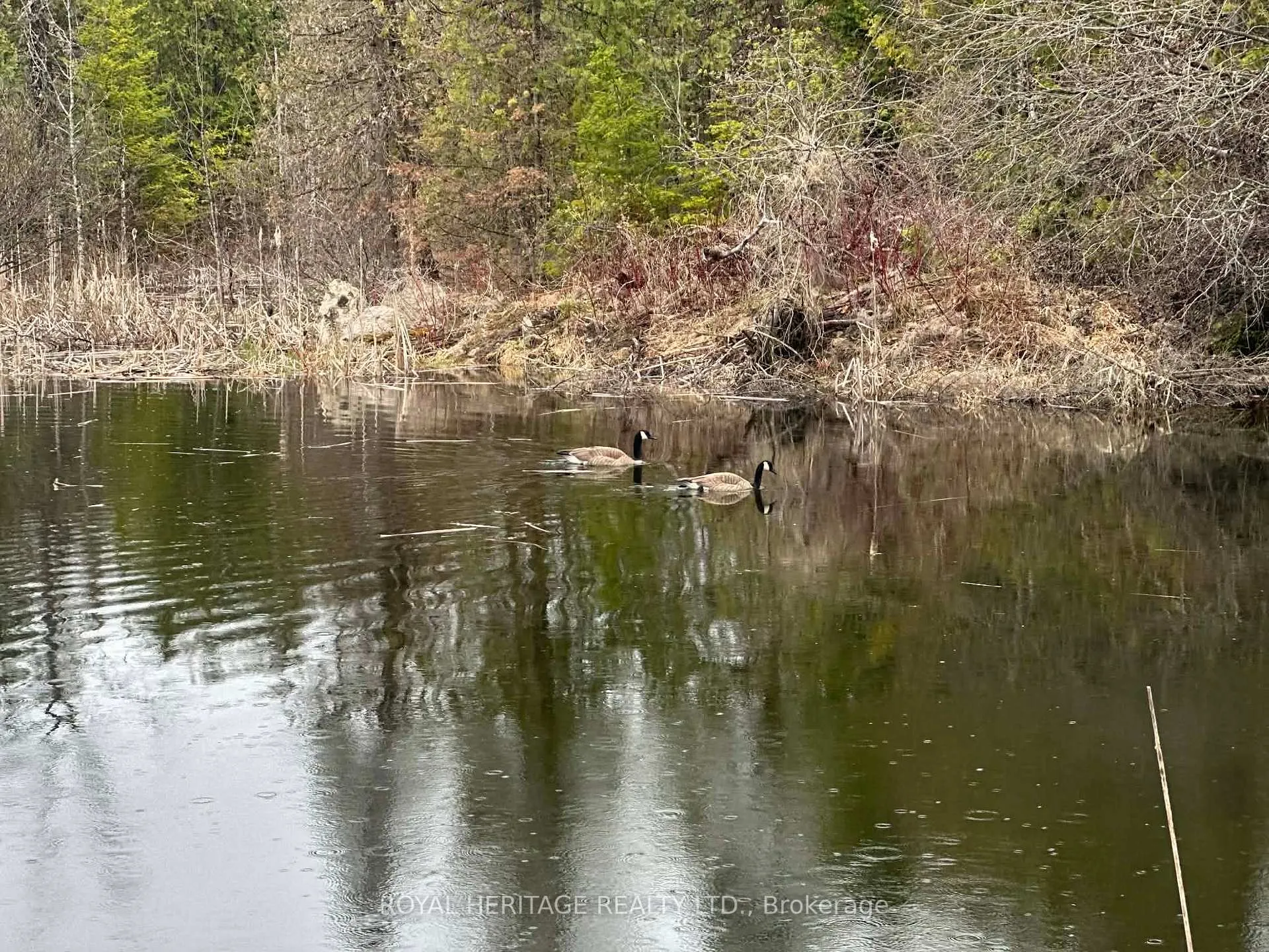 Photo 39 of 1702 County Rd 40, Douro-Dummer — HOMEH
