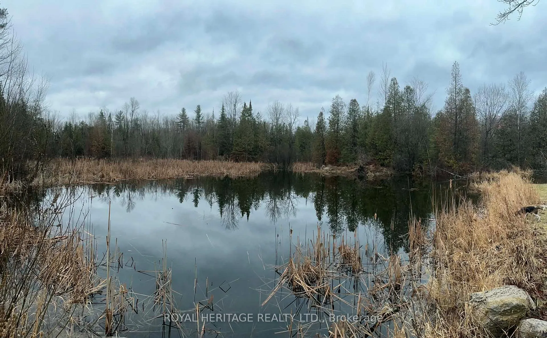 Photo 40 of 1702 County Rd 40, Douro-Dummer — HOMEH
