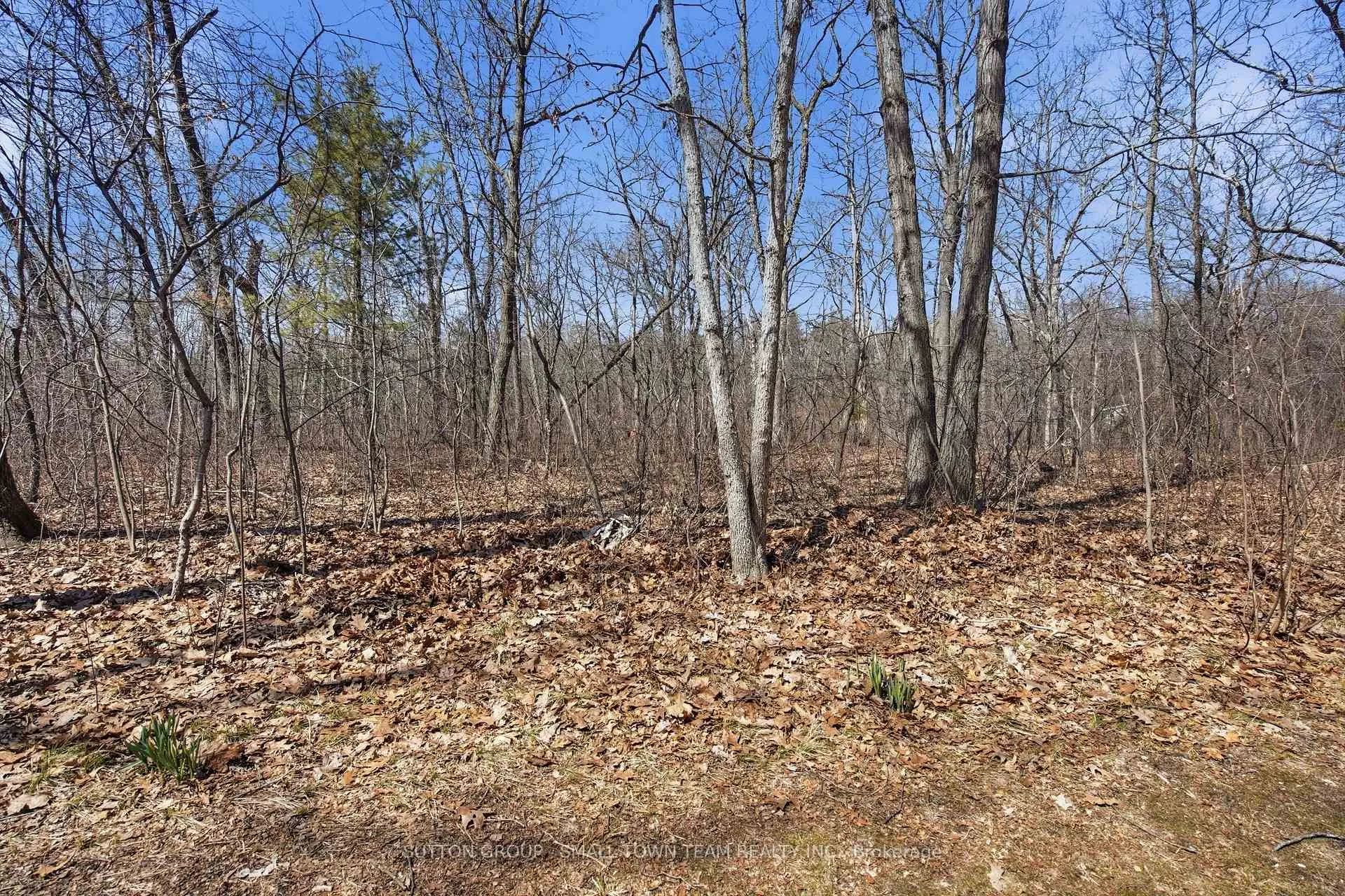 Photo 46 of 8816 Timberwood Trail, Lambton Shores, Grand Bend — HOMEH