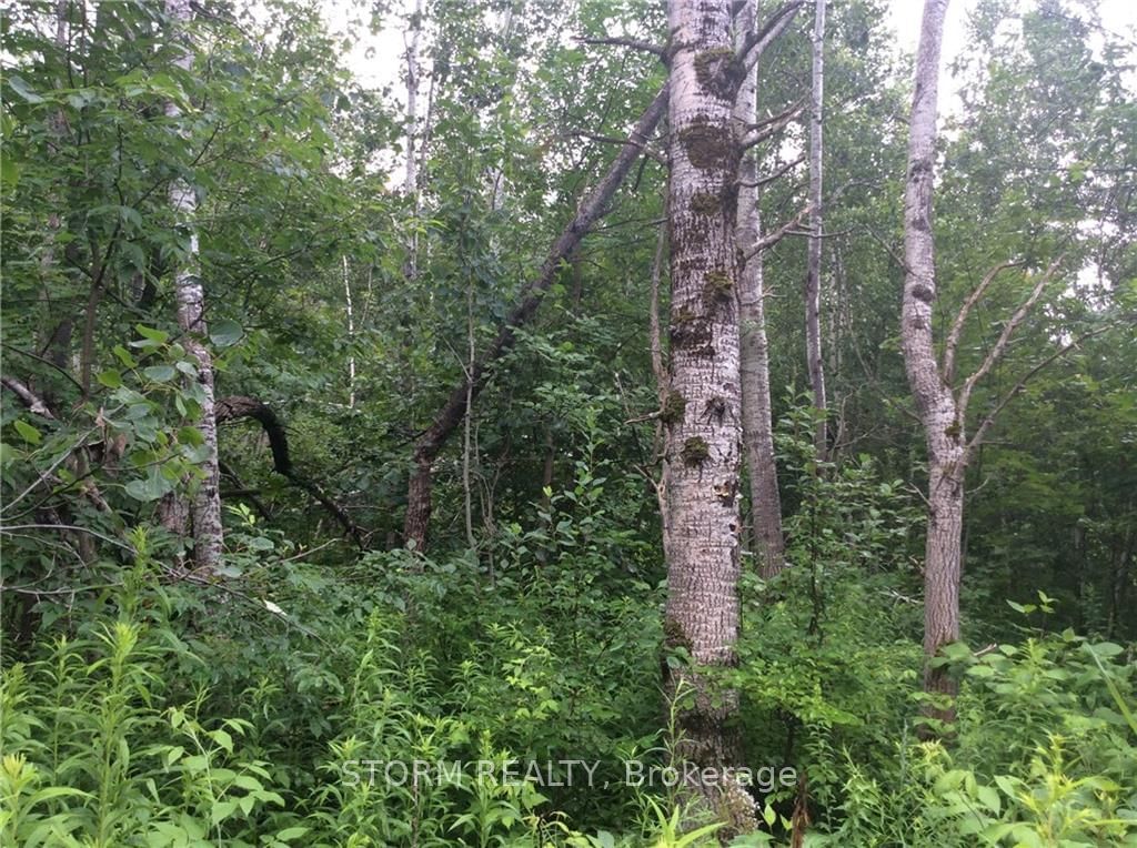 Photo 2 of 00 SEGUIN Rd, North Stormont, North Stormont (Roxborough) Twp — HOMEH