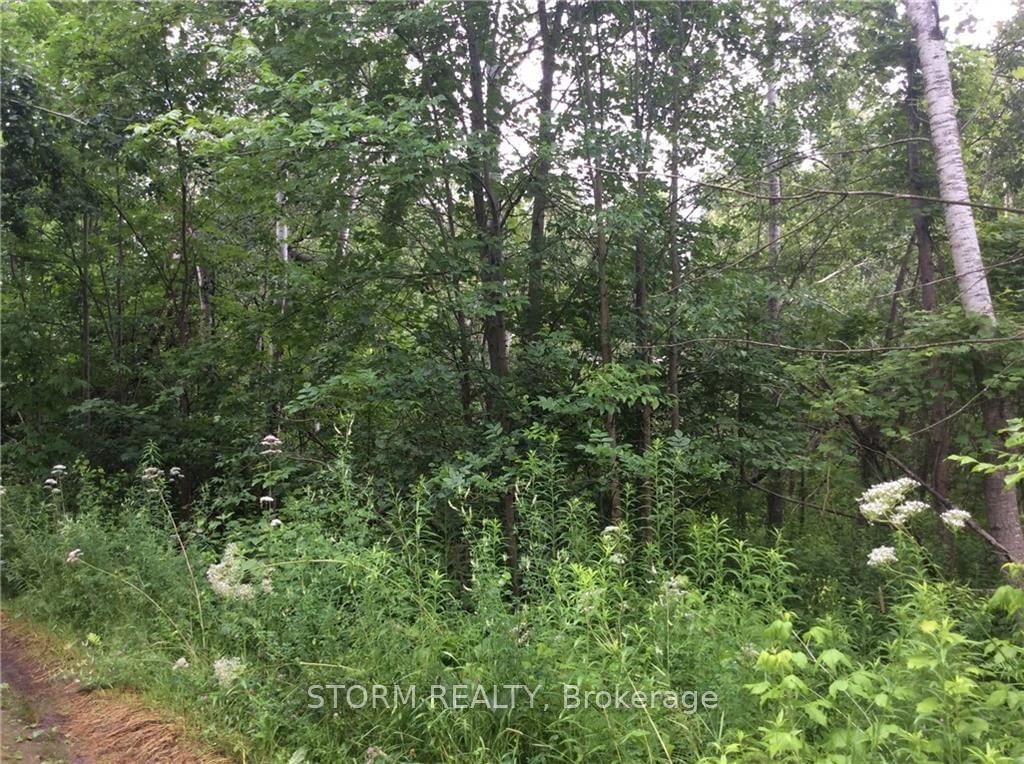 Photo 4 of 00 SEGUIN Rd, North Stormont, North Stormont (Roxborough) Twp — HOMEH