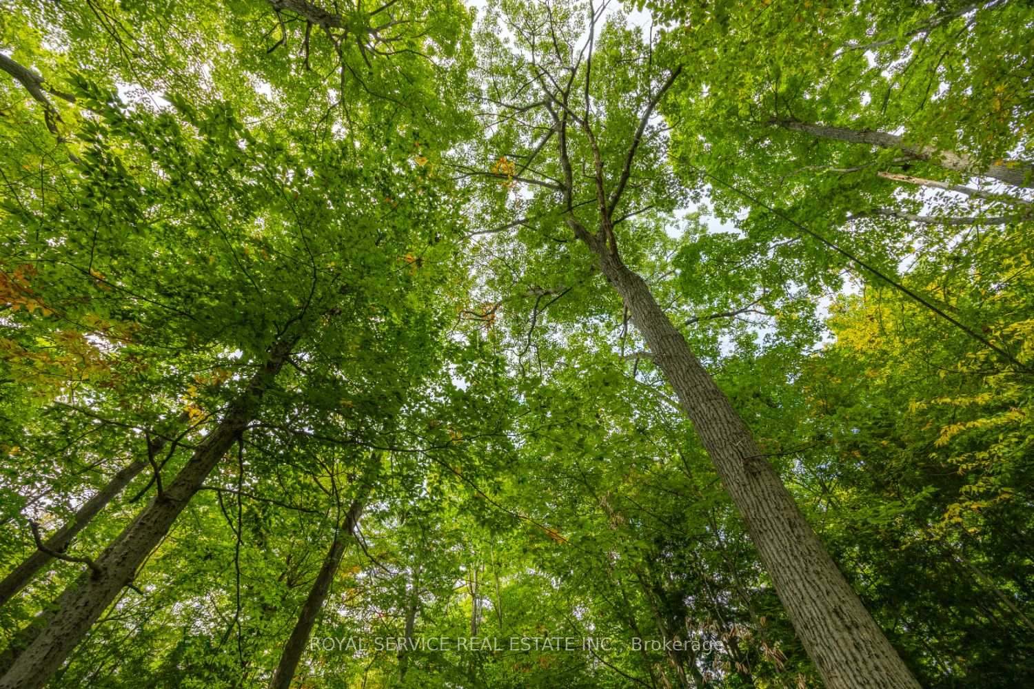 Photo 39 of 542 Larmer Line, Cavan Monaghan, Cavan Twp — HOMEH