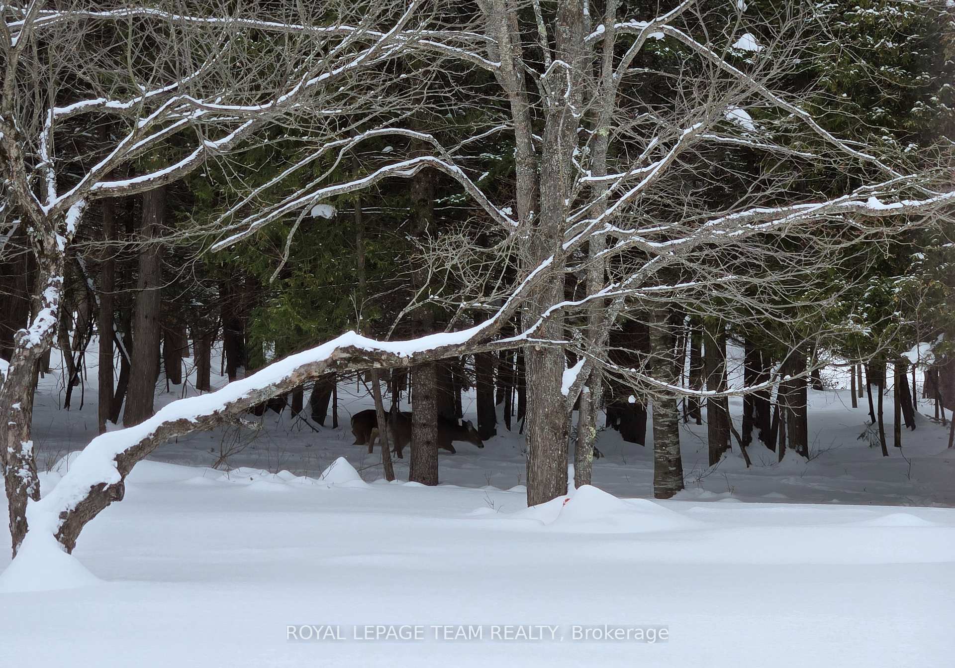 Photo 43 of 132 Manion Road, Ottawa, Huntley Ward (South West) — HOMEH