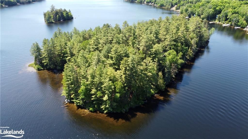 Photo 1 of 0 Bucktooth Island, Perry — HOMEH