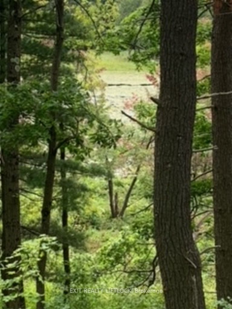 Photo 8 of 1541 Blue Heron Rdge, Frontenac — HOMEH