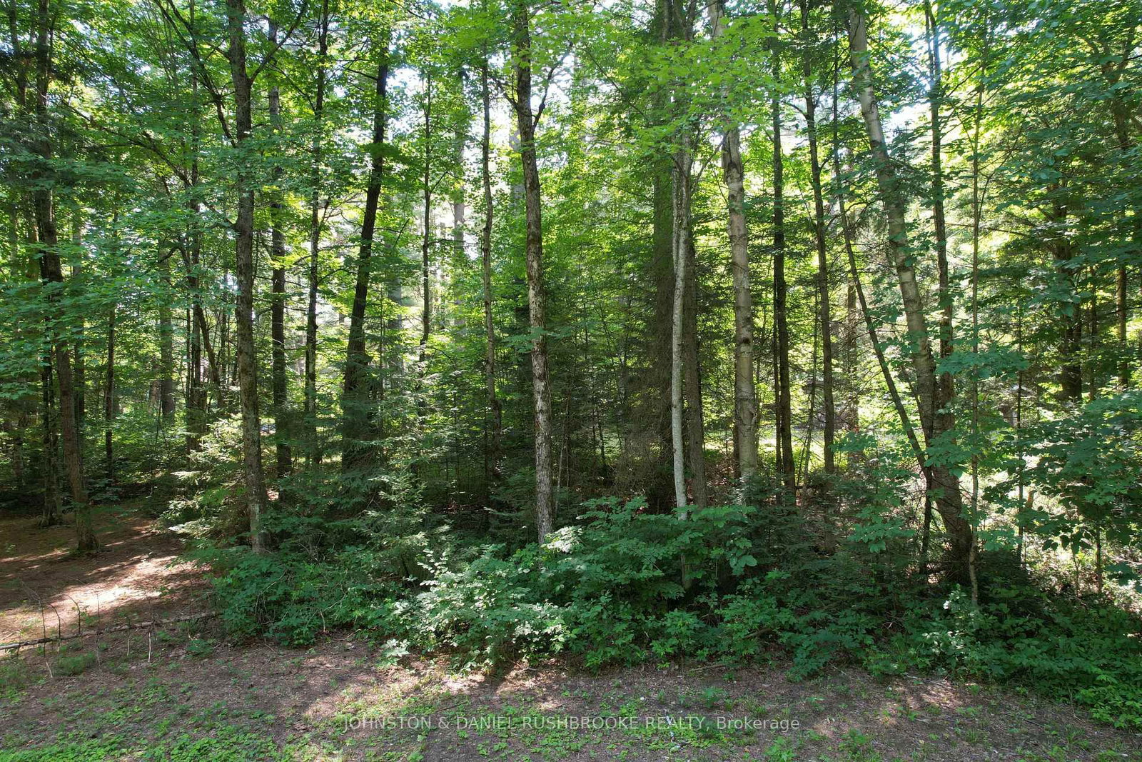 Photo 2 of 1195 Vankoughnet Rd, Bracebridge, Oakley — HOMEH