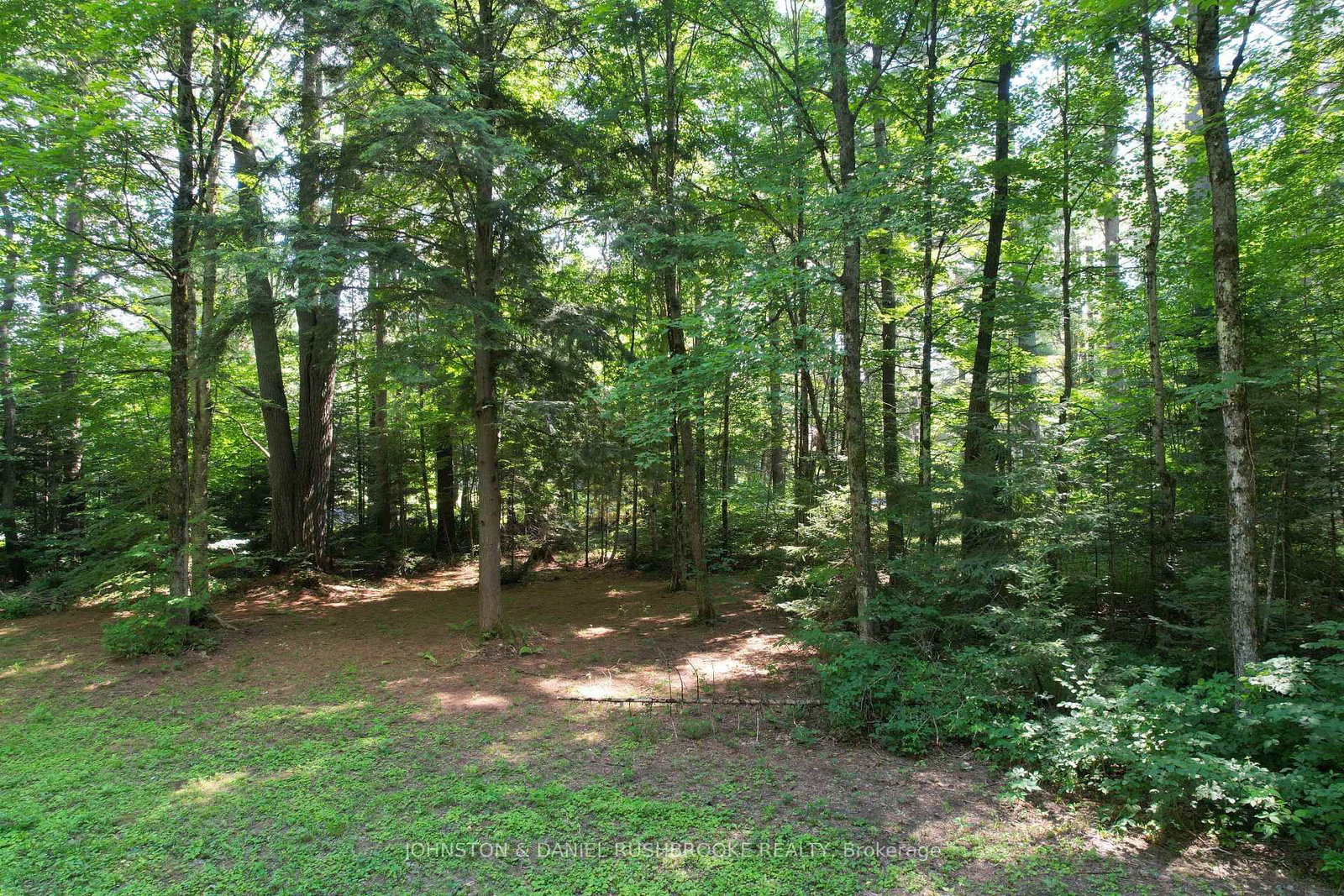 Photo 3 of 1195 Vankoughnet Rd, Bracebridge, Oakley — HOMEH