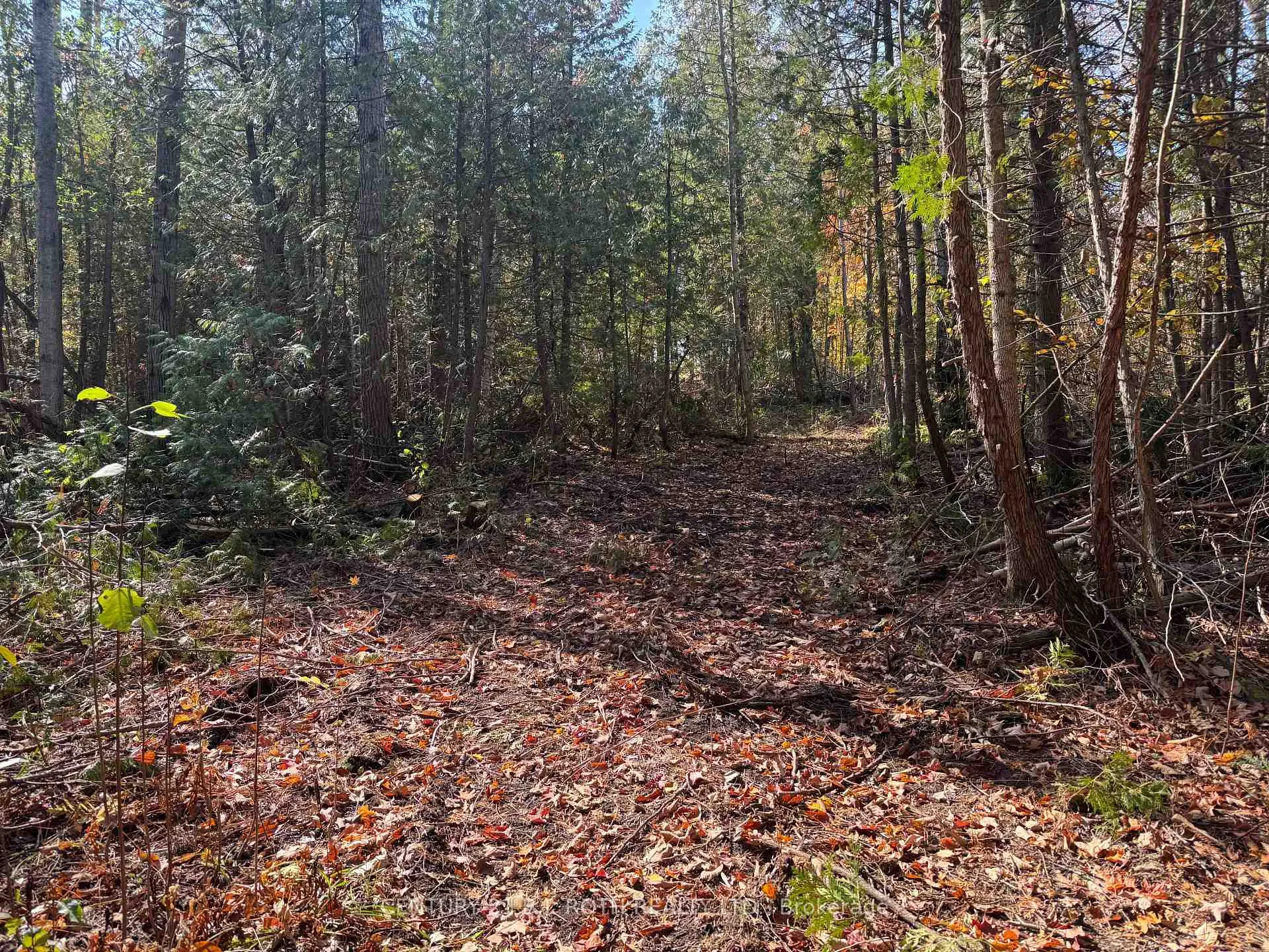 Photo 4 of 2960 8 Line, Oro-Medonte, Rural Oro-Medonte — HOMEH