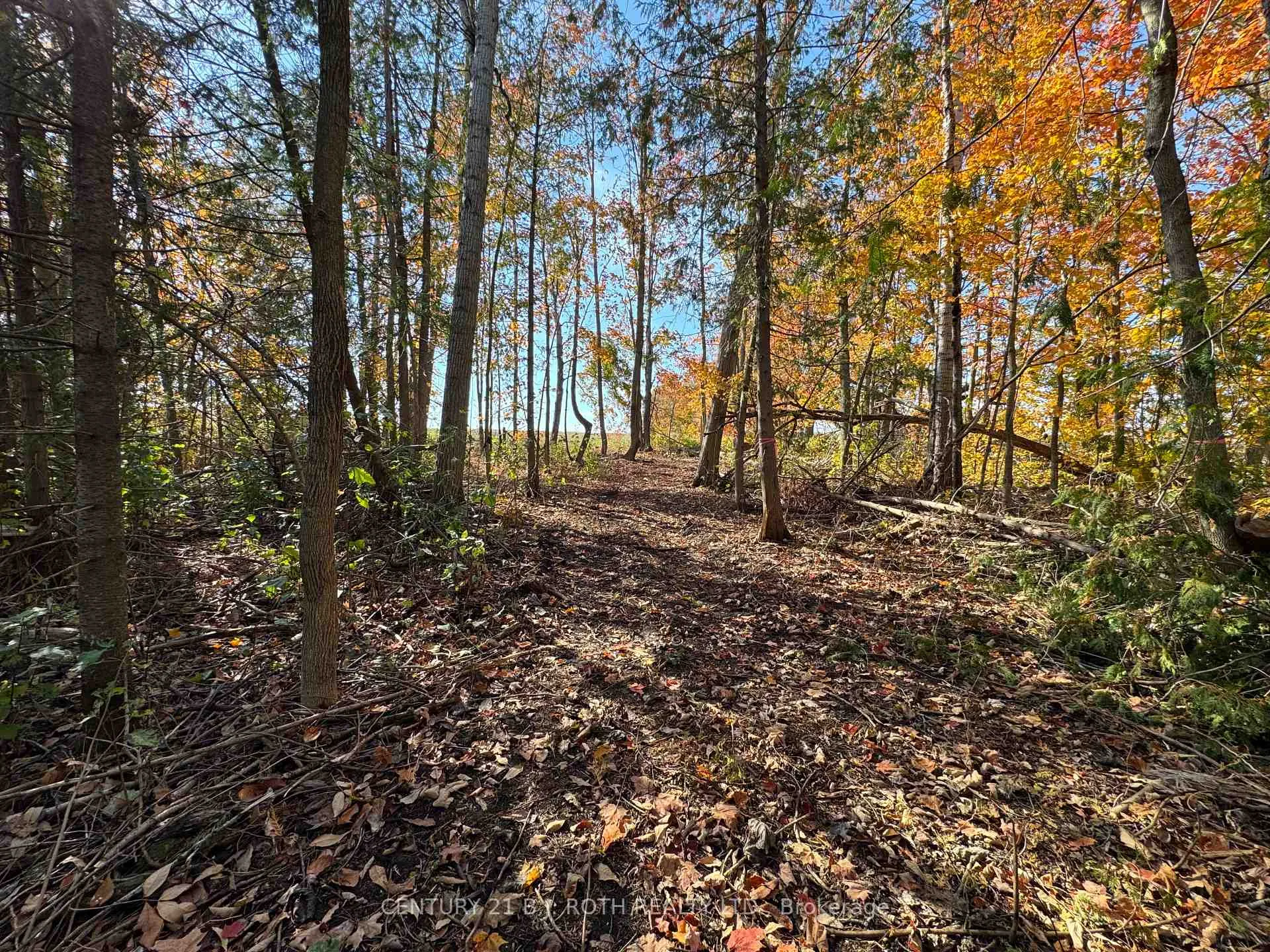 Photo 5 of 2960 8 Line, Oro-Medonte, Rural Oro-Medonte — HOMEH
